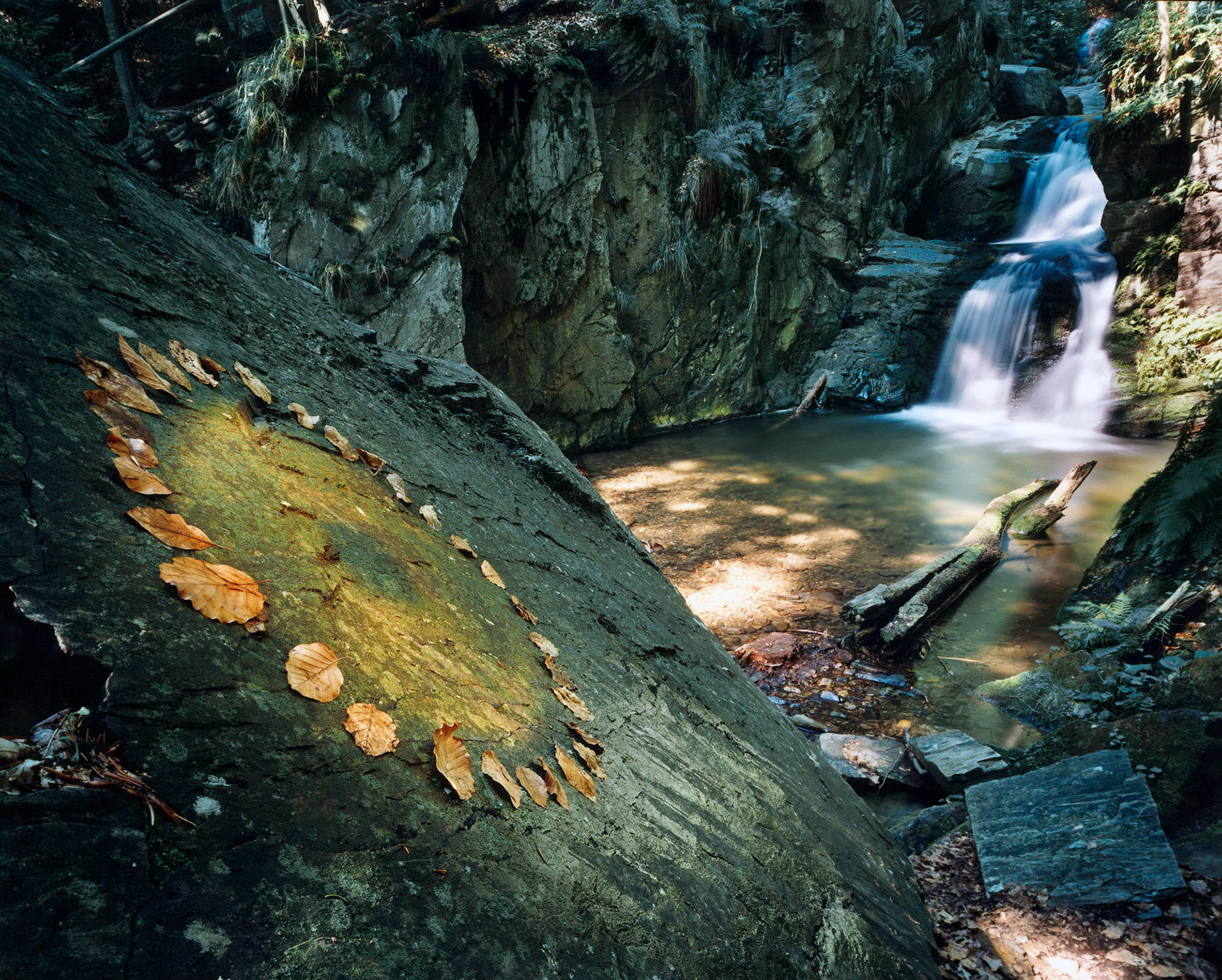 Everythingh has its own time, 2002