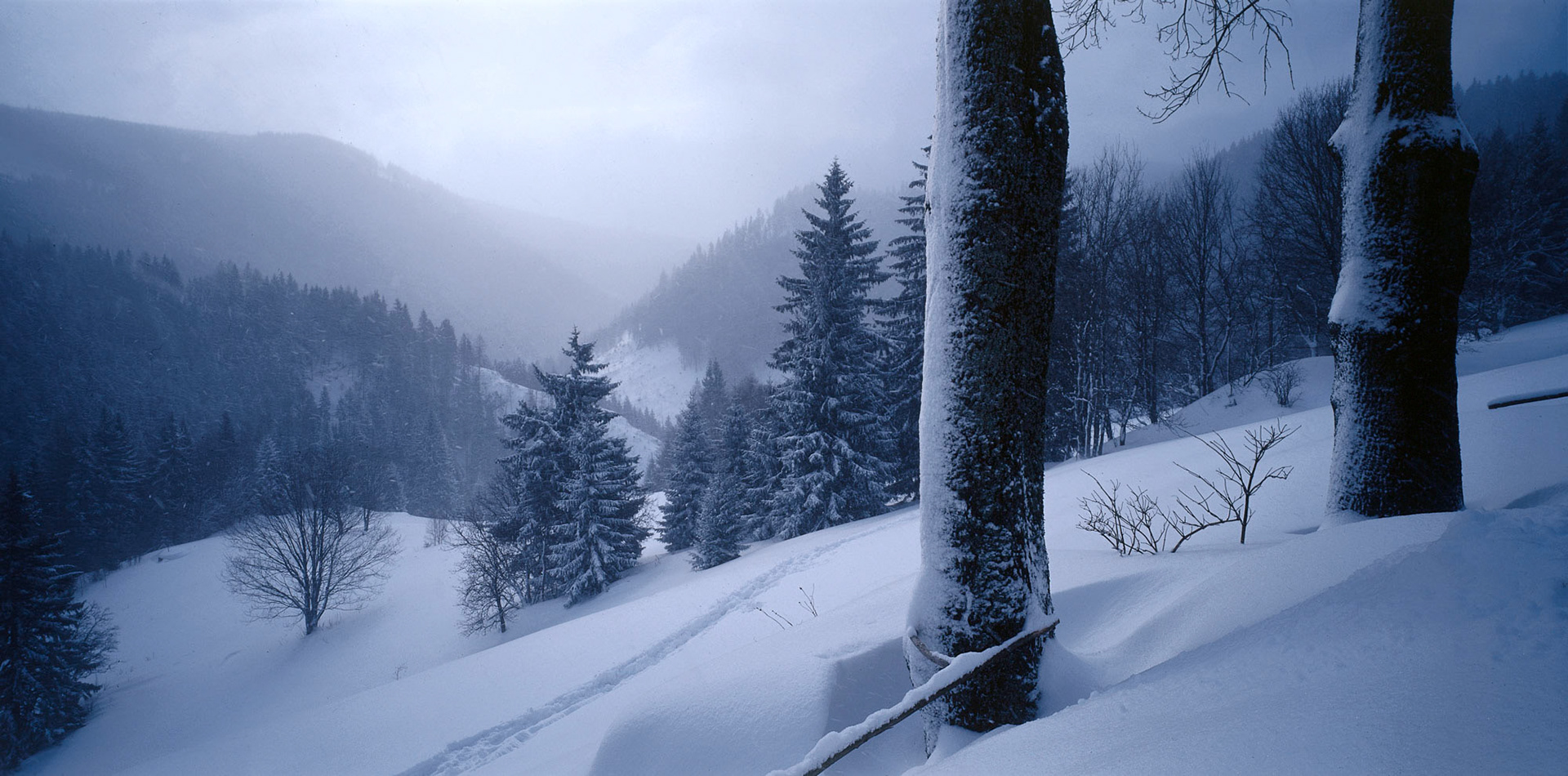 Malá Úpa, Krkonoše