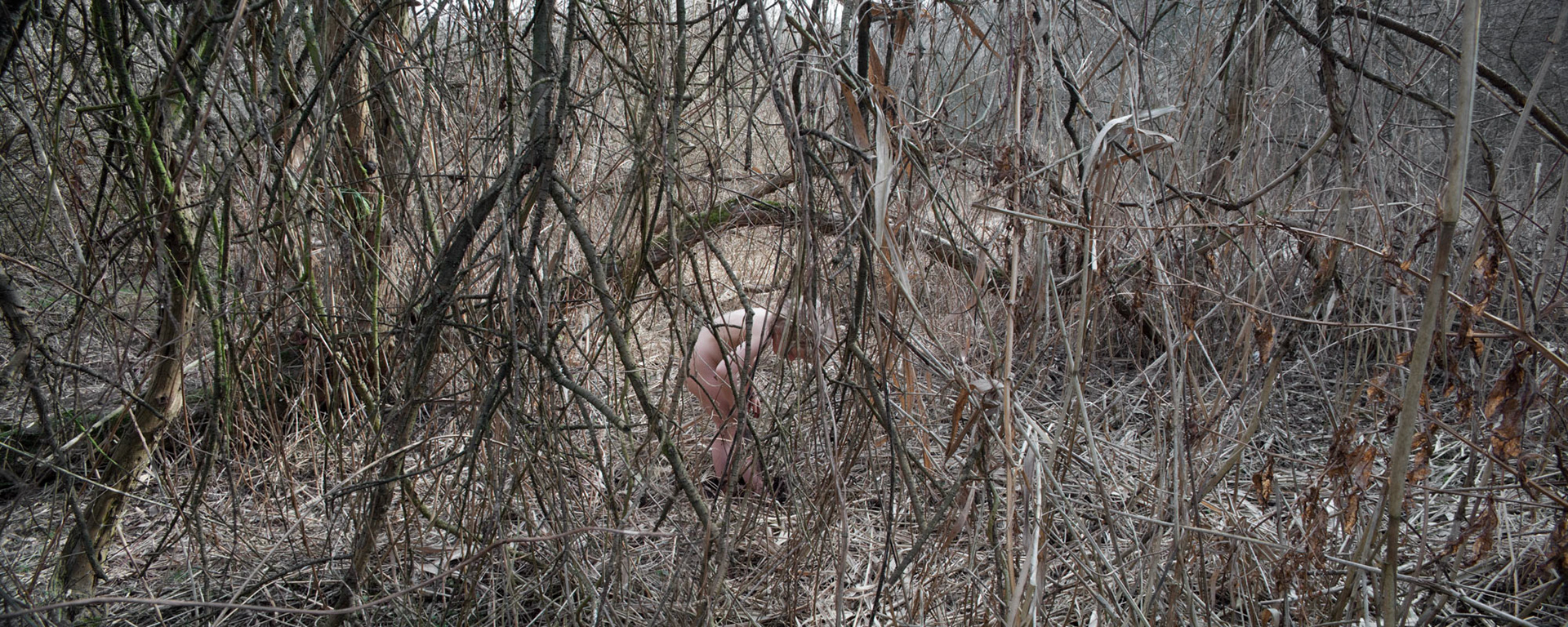Ztracen v ráji, 2011