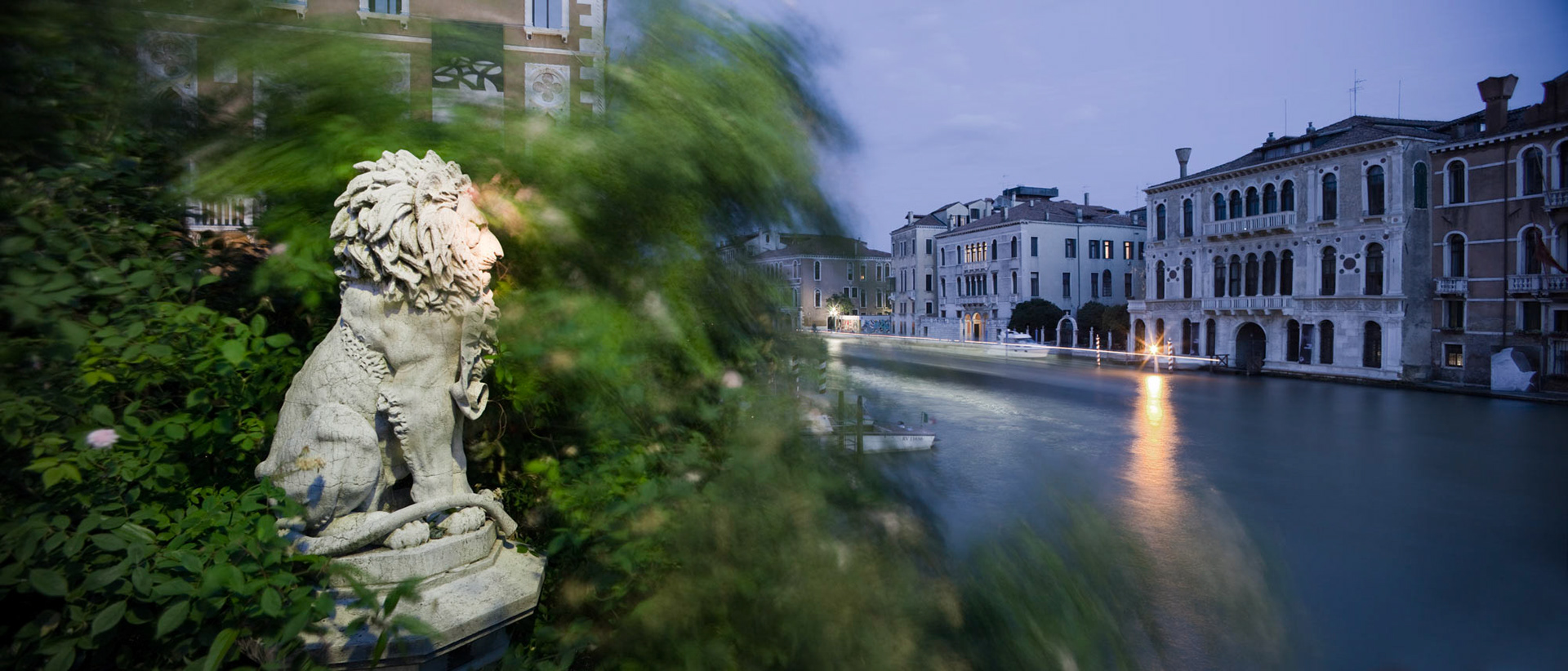 Lvice (Venezia), 2009