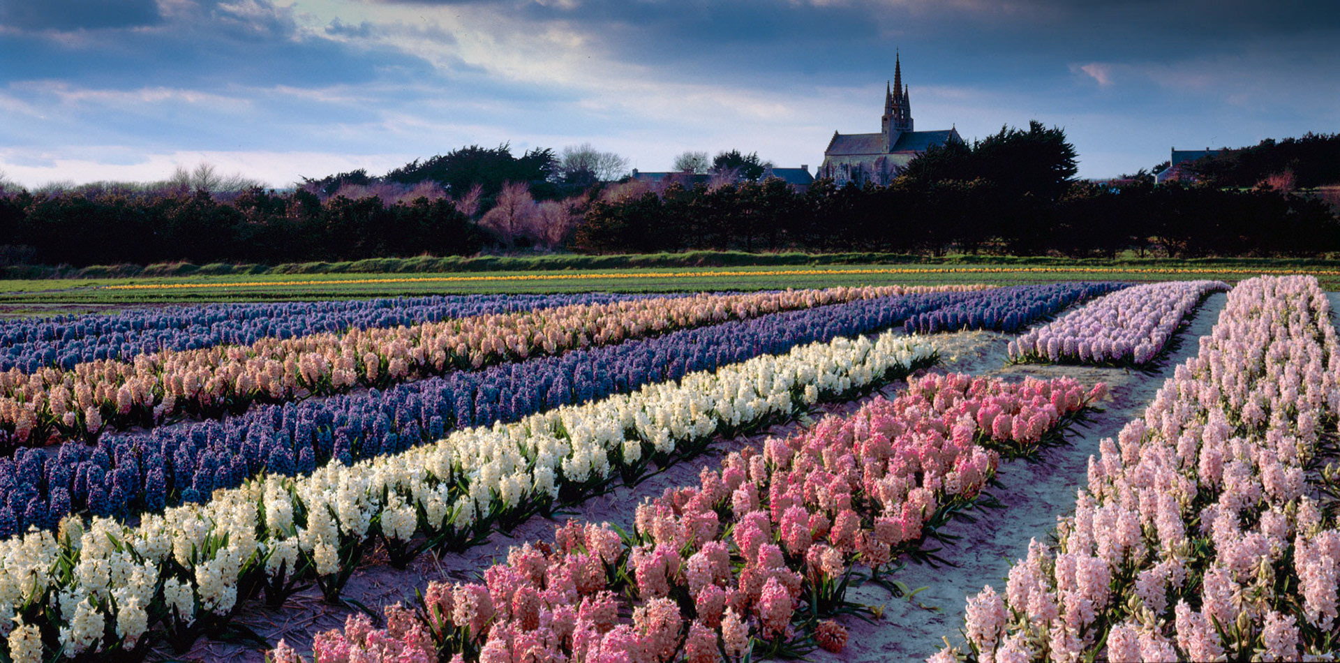 Tronoan, Bretagne, France