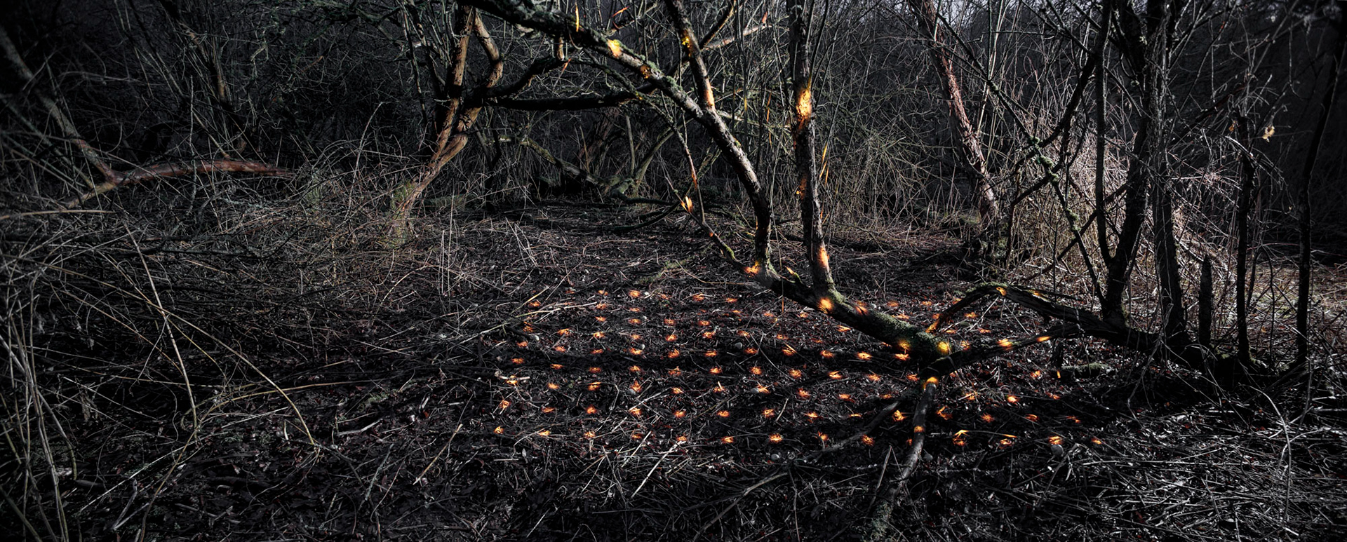 Demarcation (Homage to Alena Kučerová), 2021