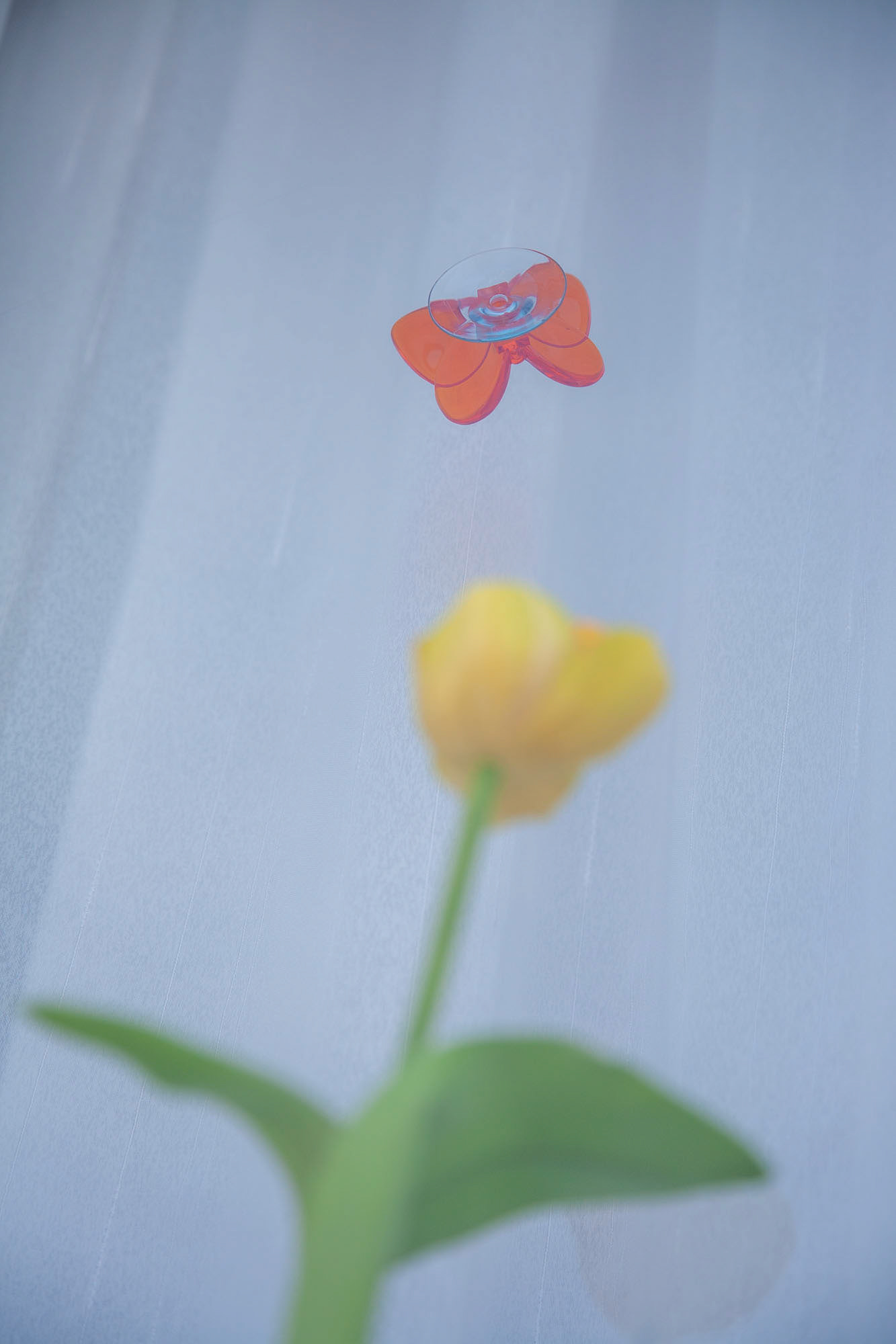 obycejnosti Lappeenranta 07, 2008