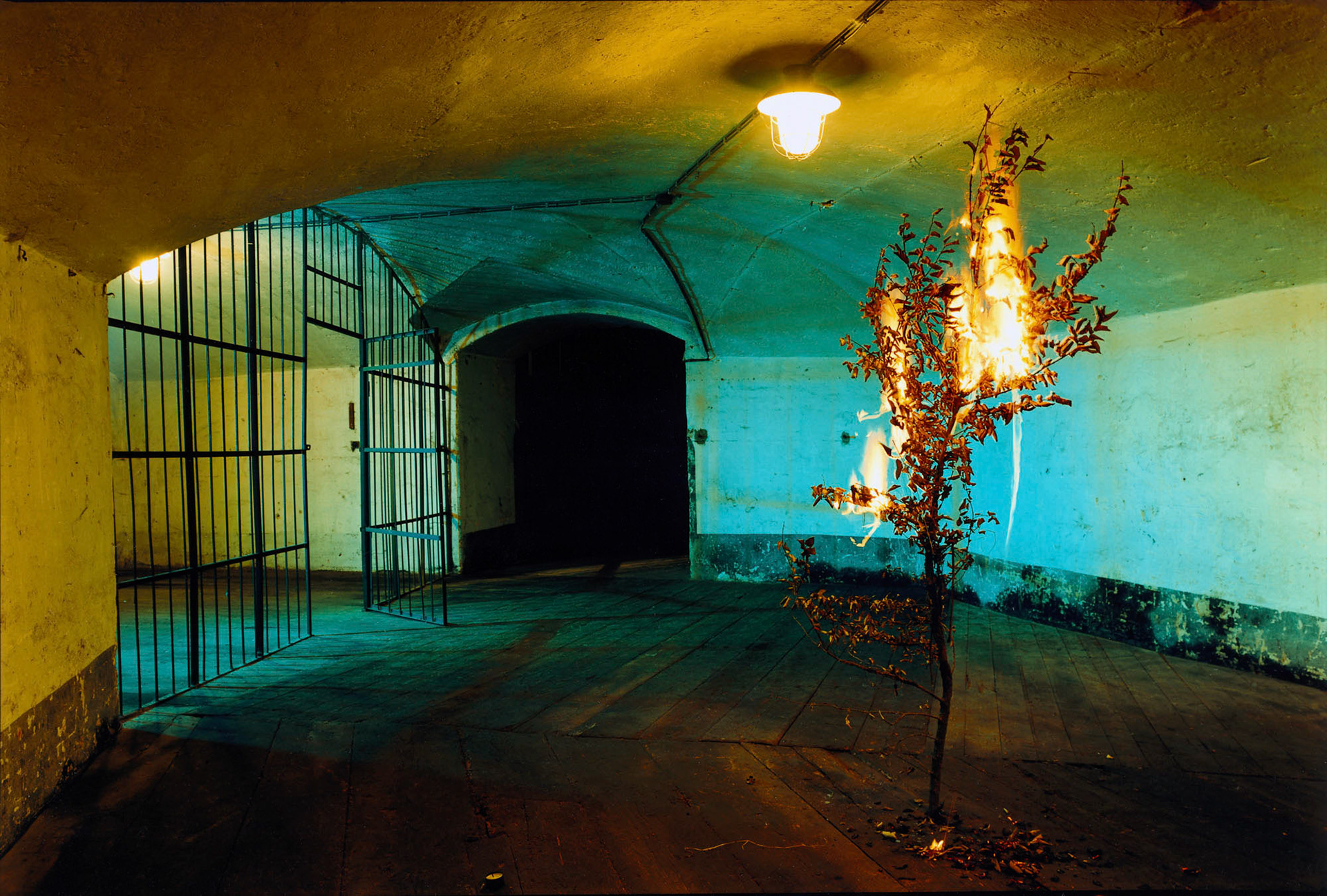 Mojžíš (Terezín), 2000