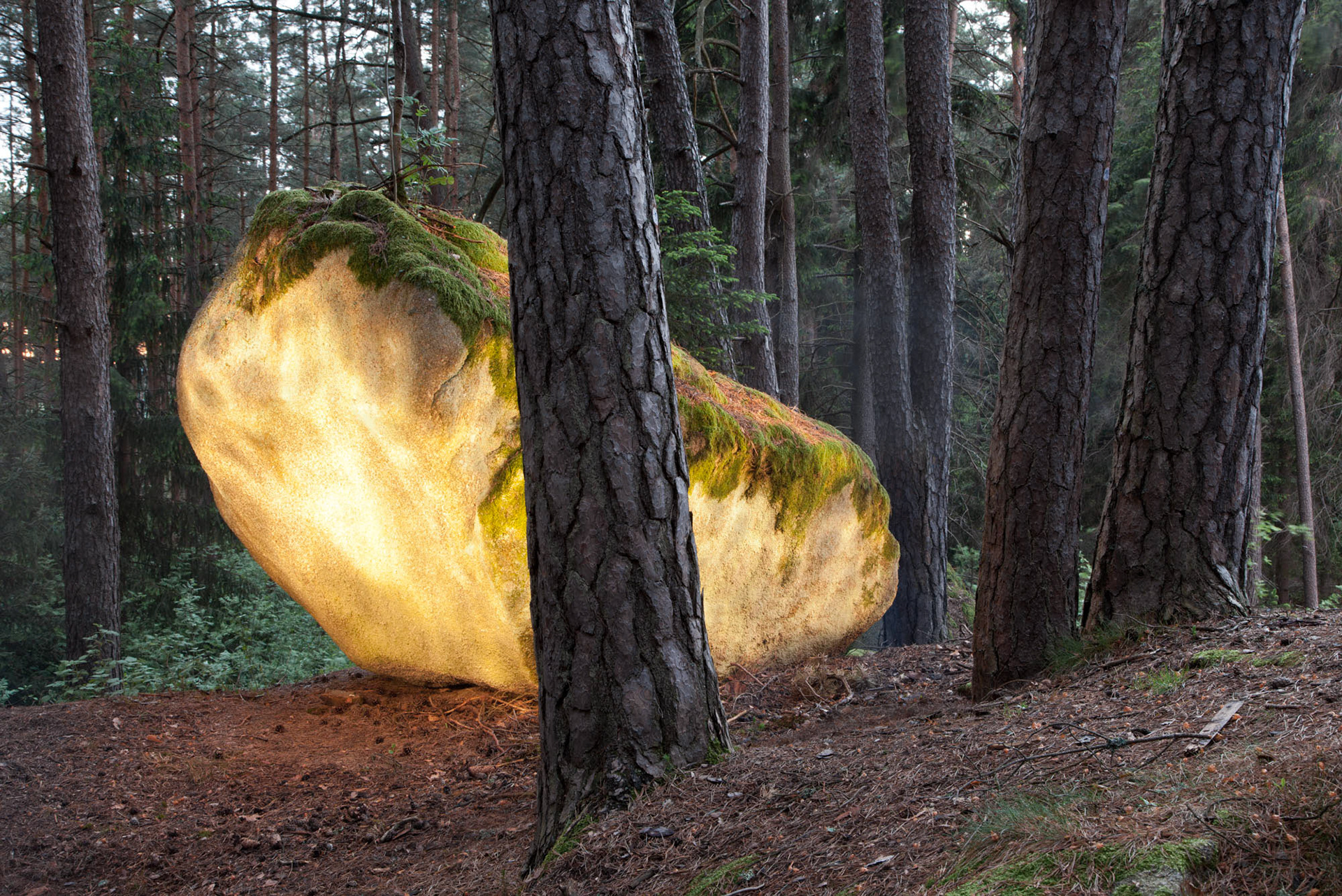 Golden Stalkovsky, 2012