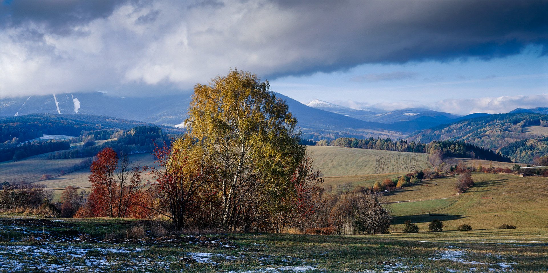 Mladé Buky, Krkonoše