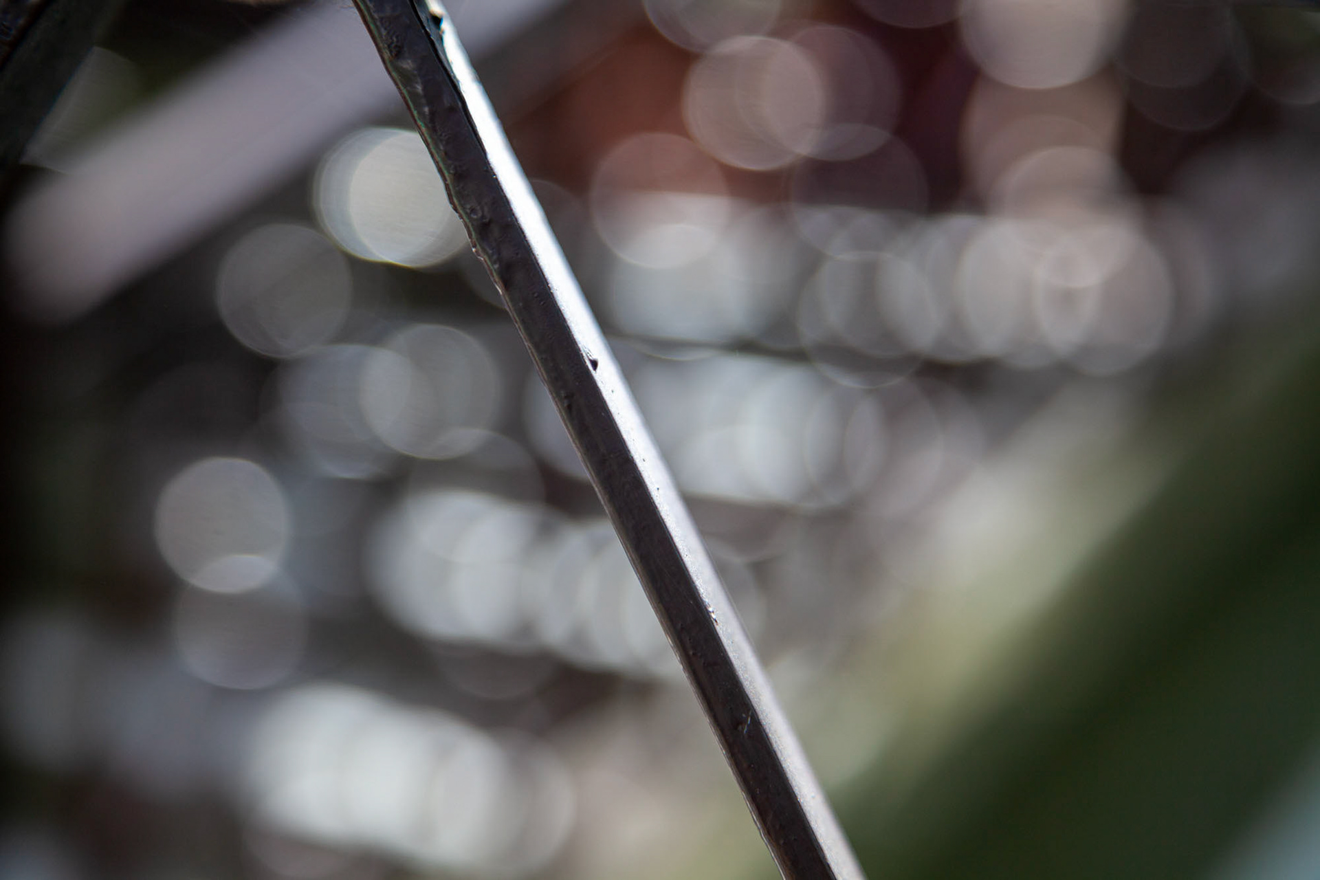 obycejnosti Praha 6 03, 2009