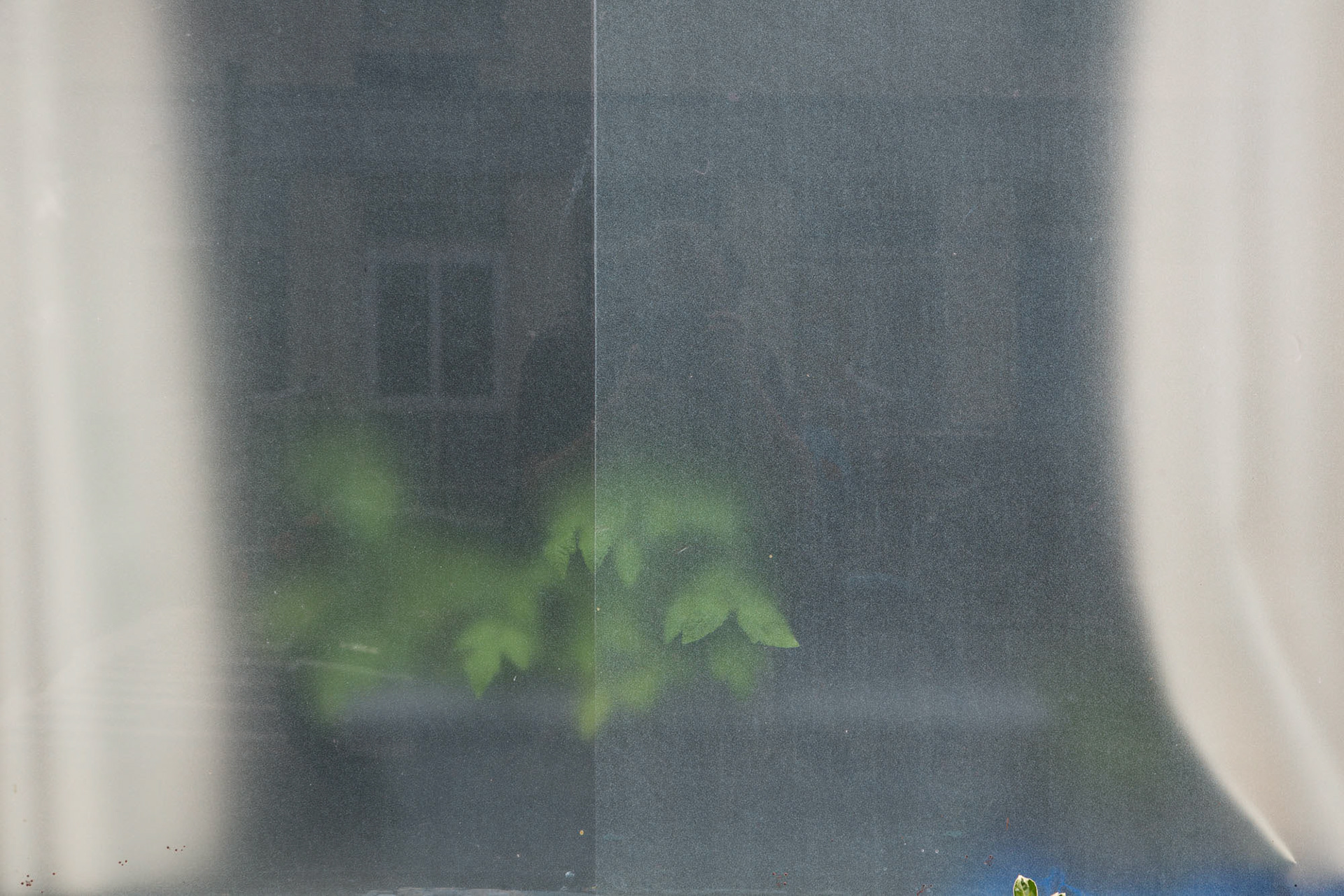 obycejnosti Amsterdam 59, 2015