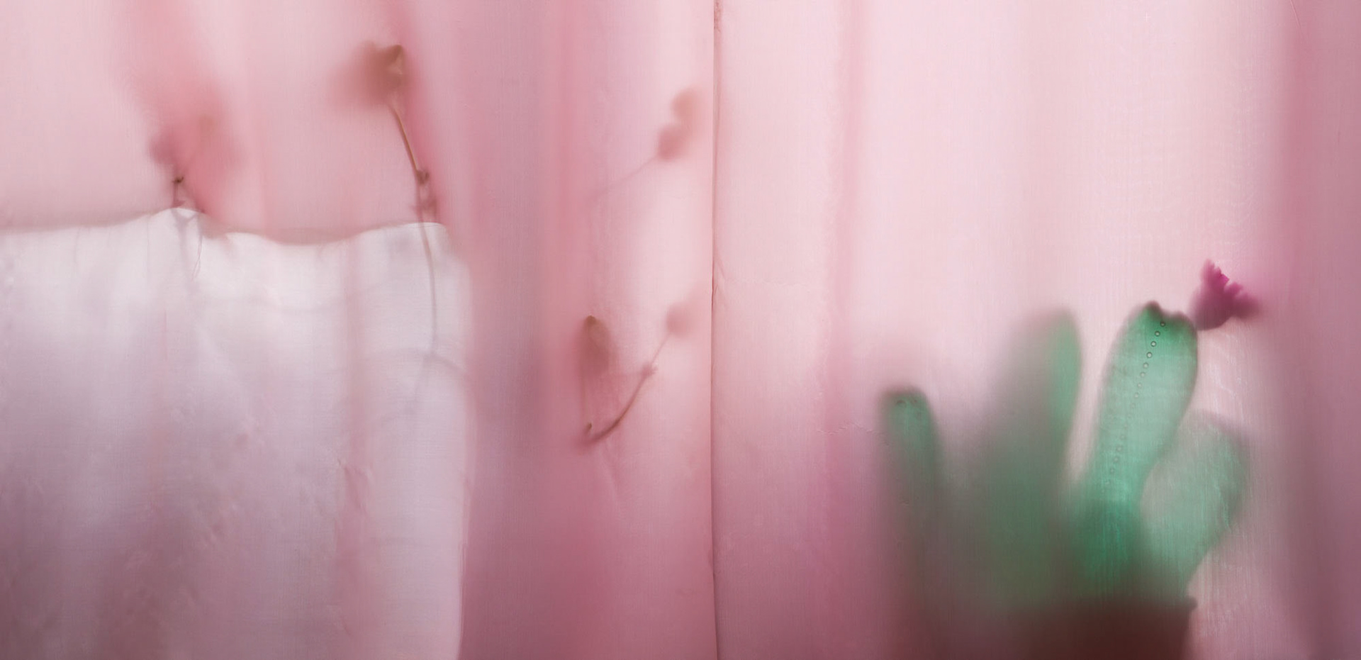 Veroničina rouška, 2012