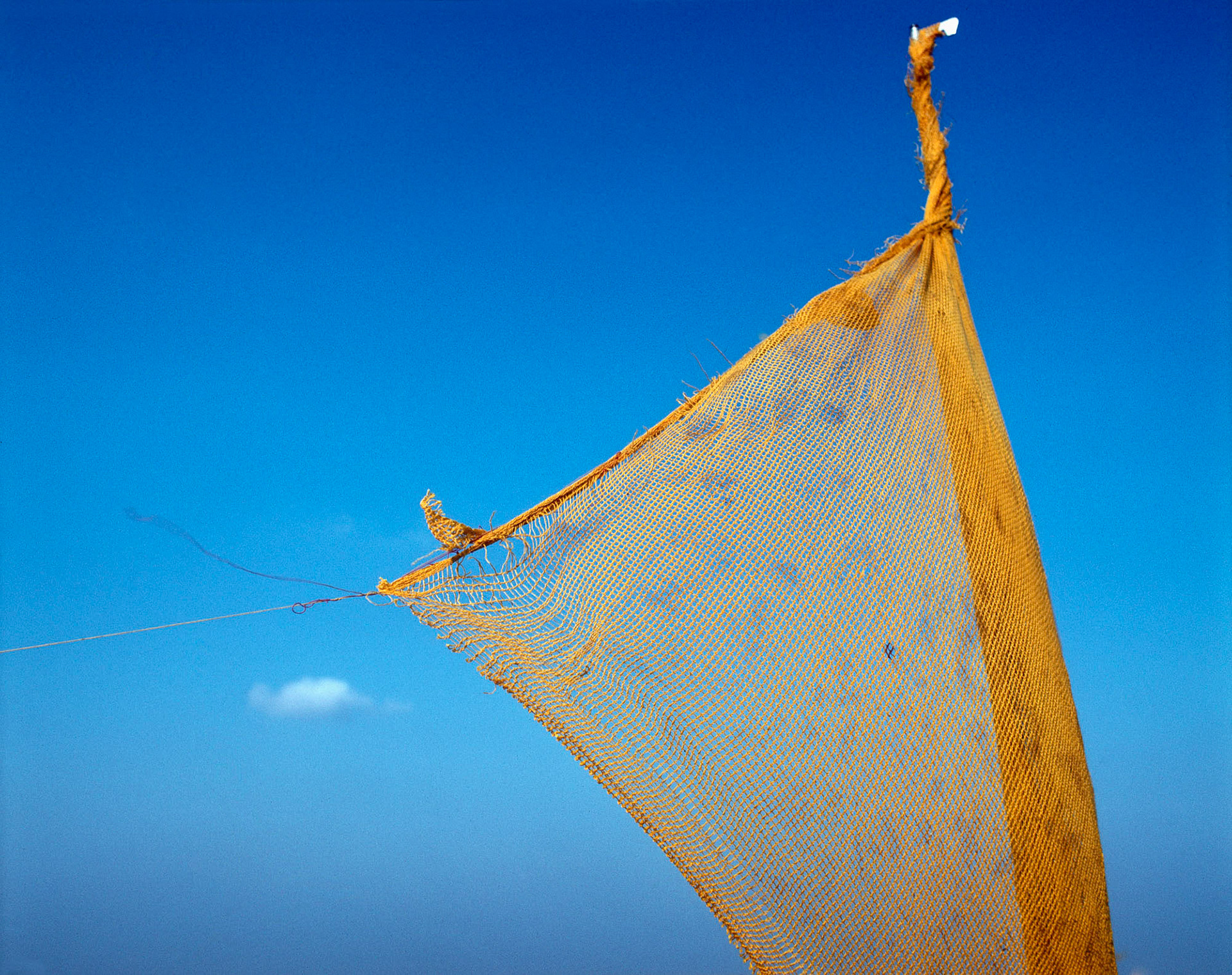 Sky blue sky 2, 1983