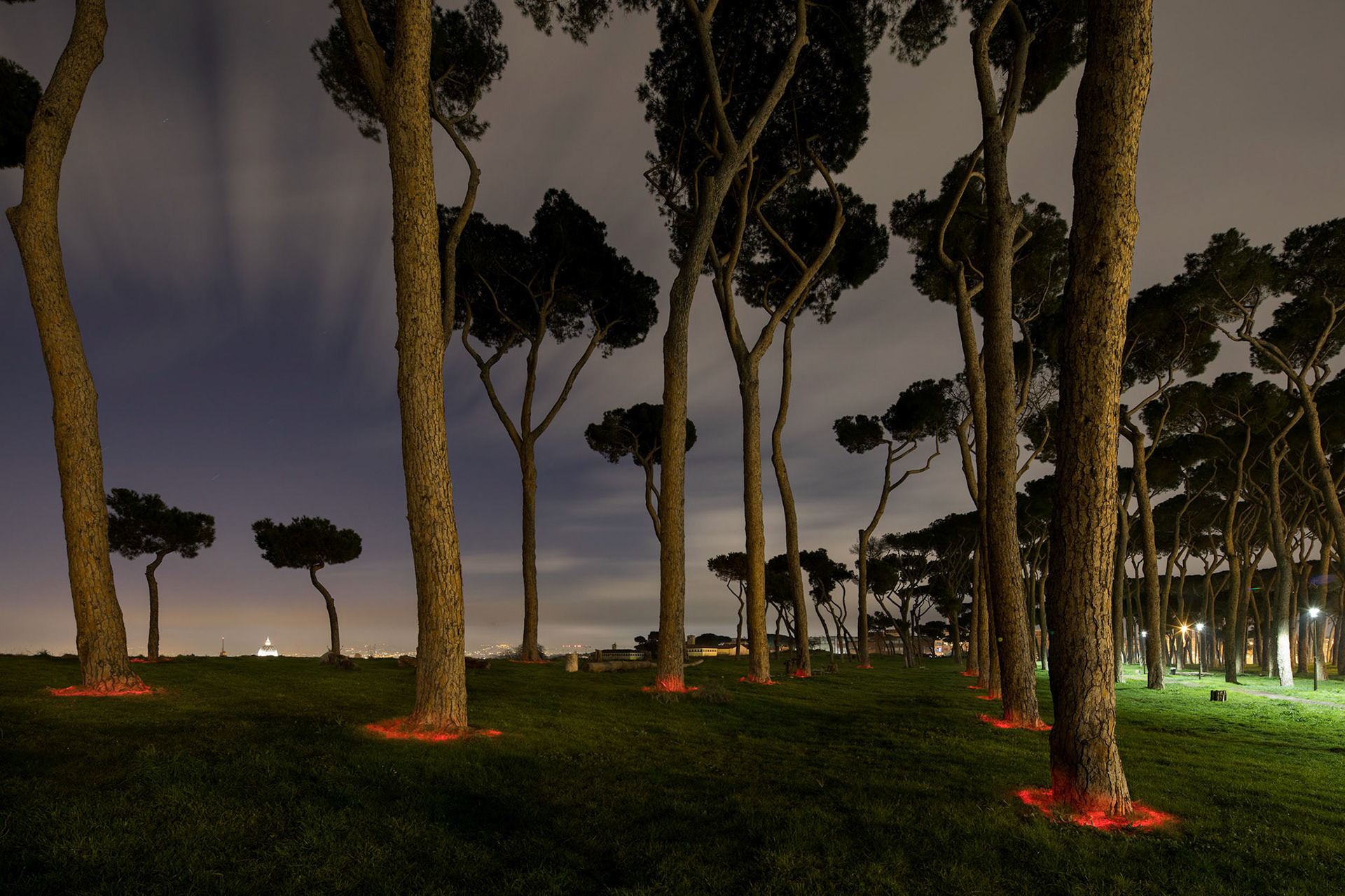 San Pietro e Pineto, 2017