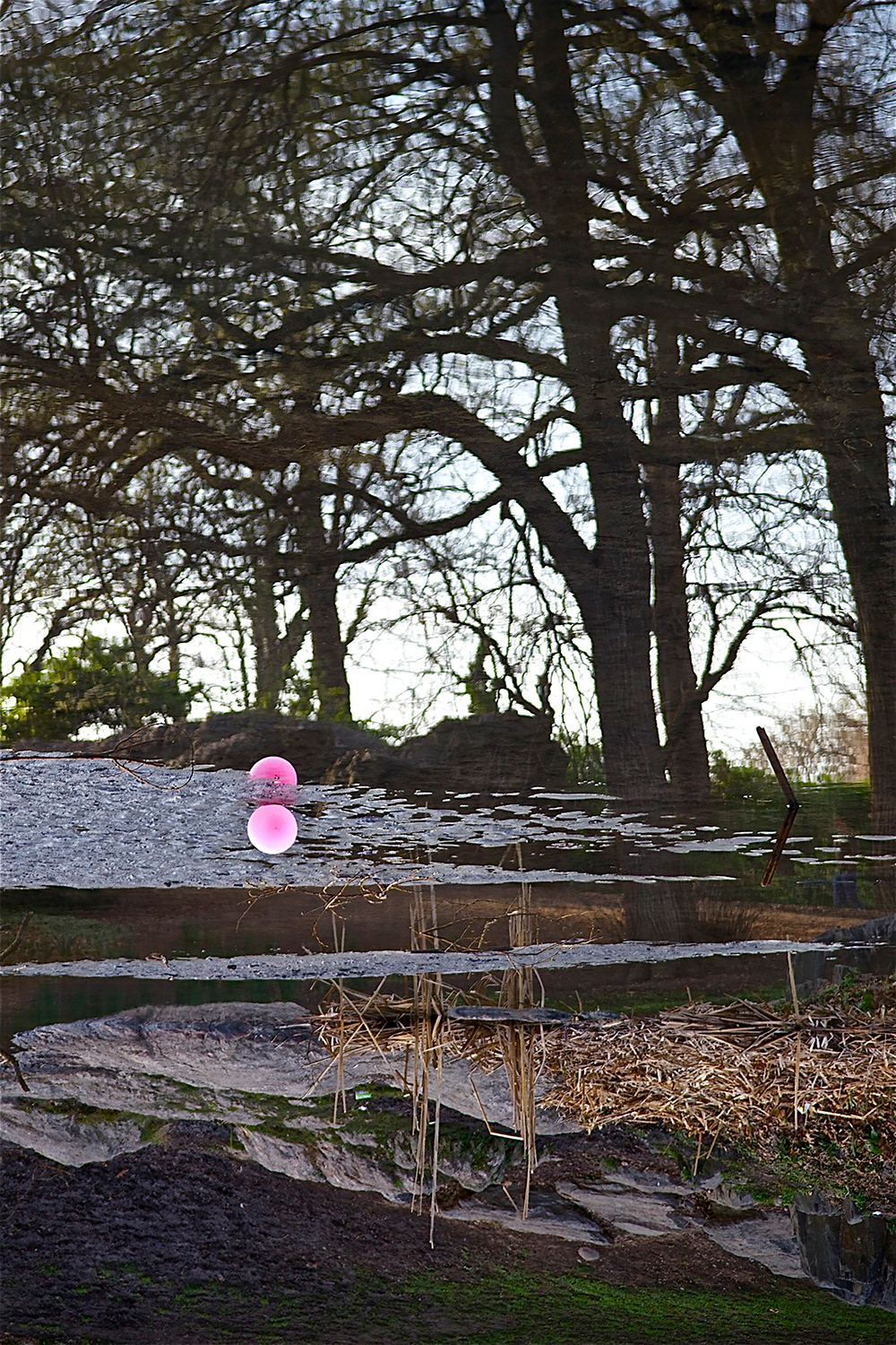 Stranded But Not Alone