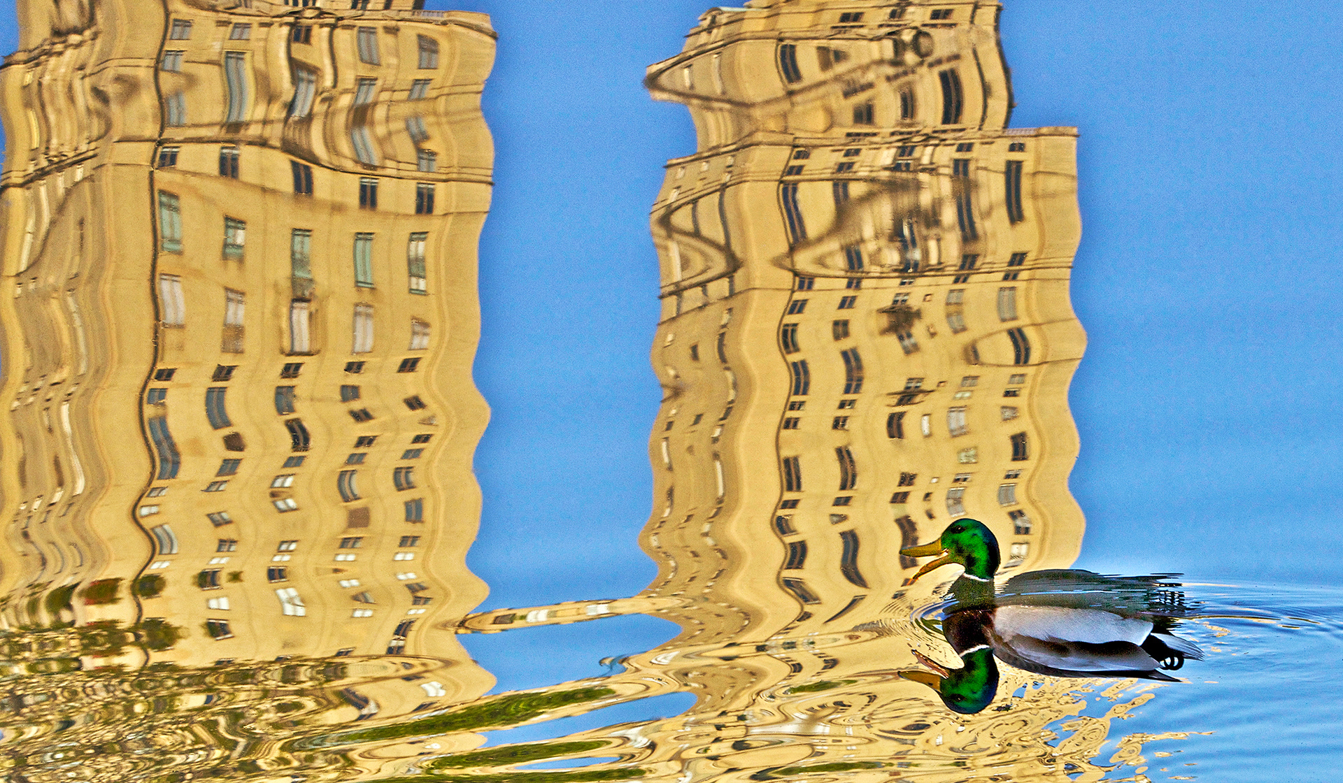 Your Brain On Quack
