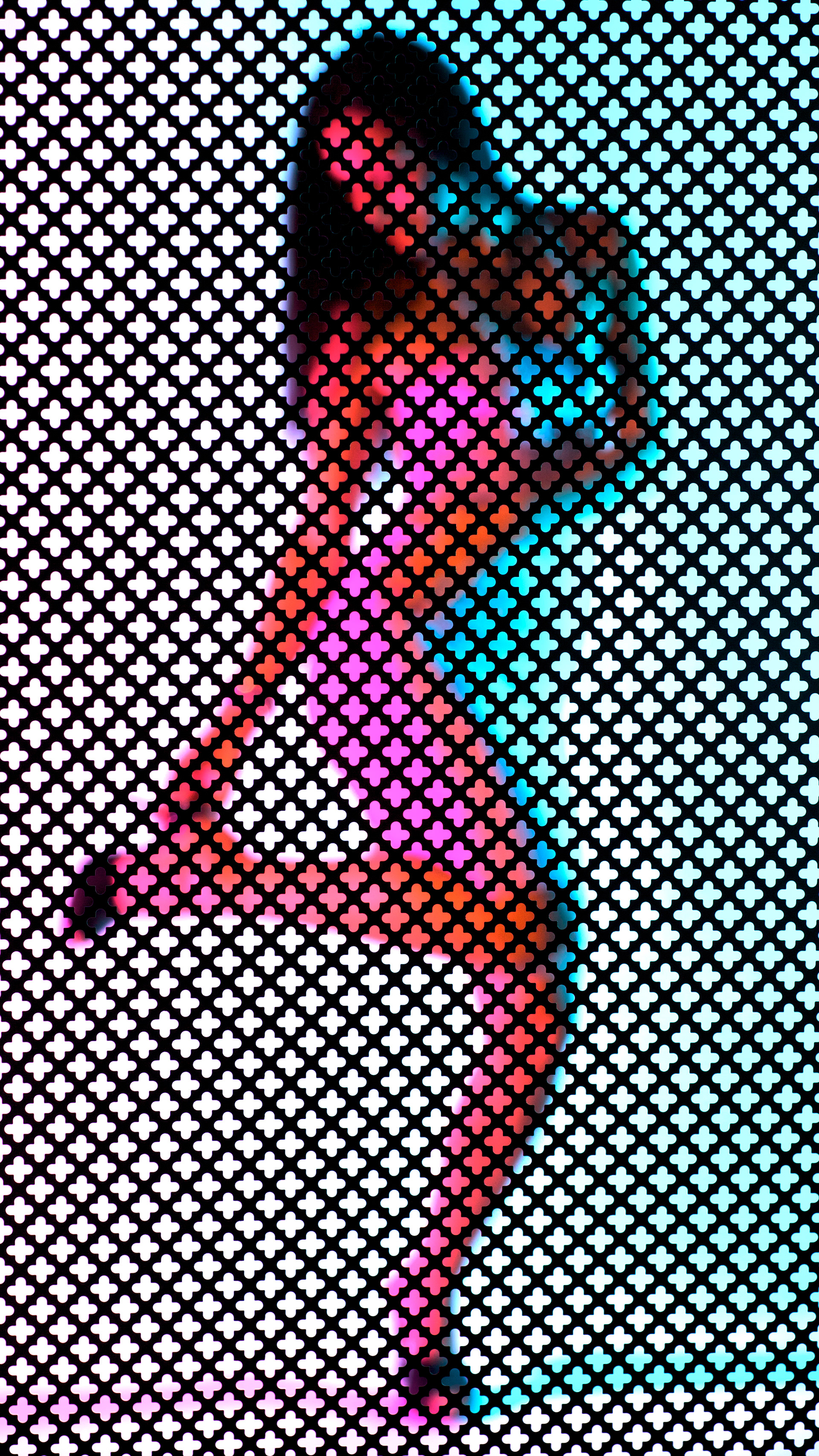 High Heel (shot through a metal screen)