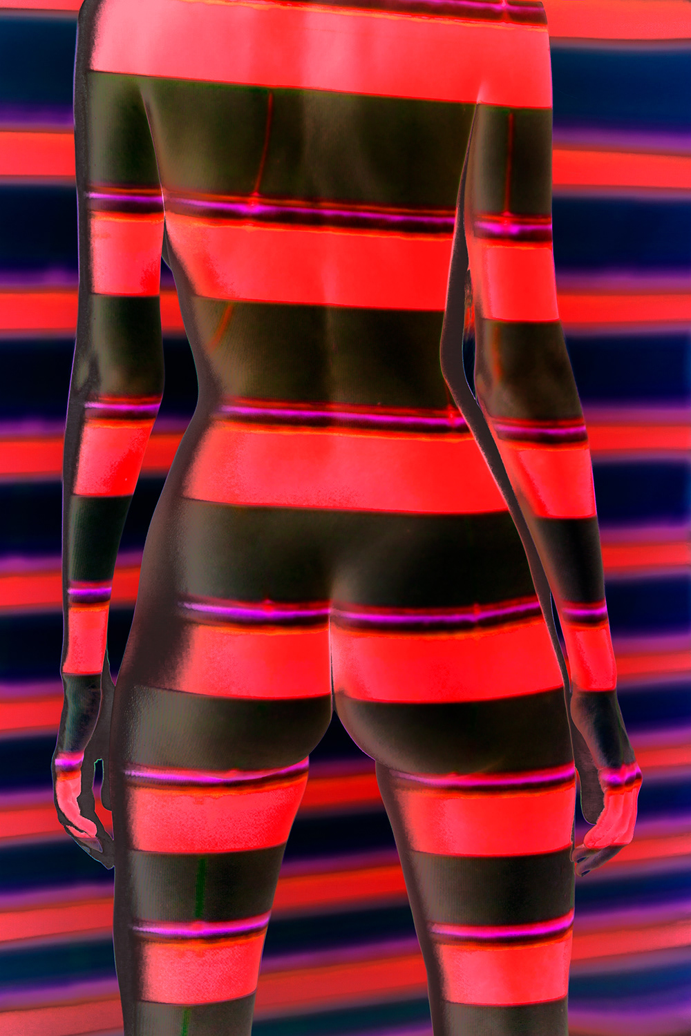 Night Stalker