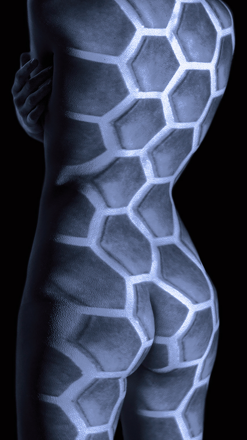 Honeycomb