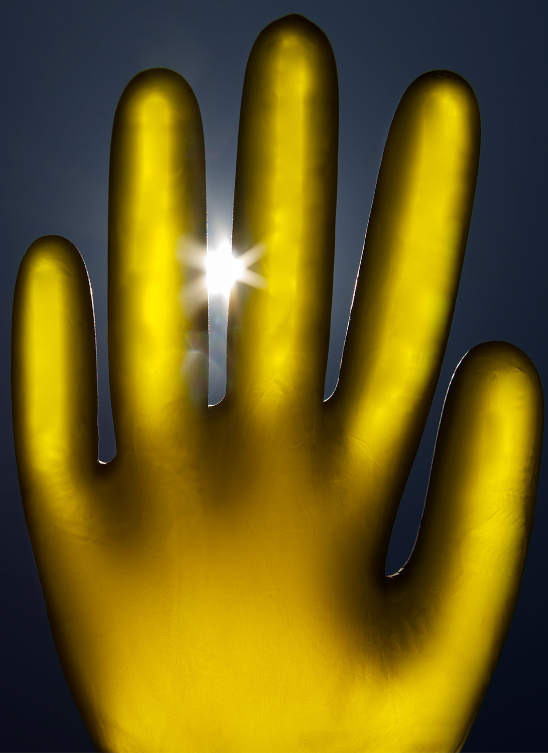 Reach For The Stars (created for prominent photography collector Henry Buhl)