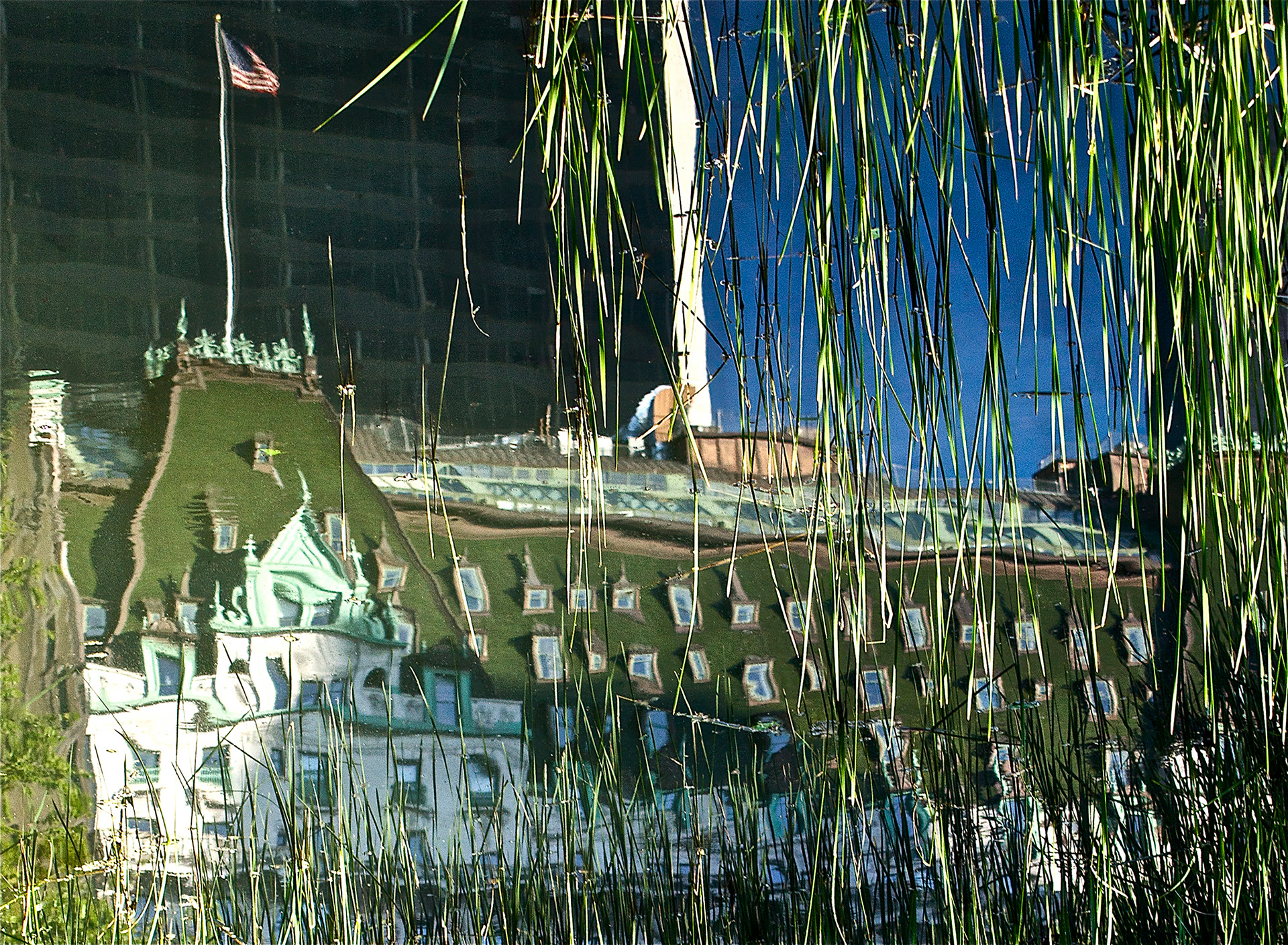 Swamp Thing
