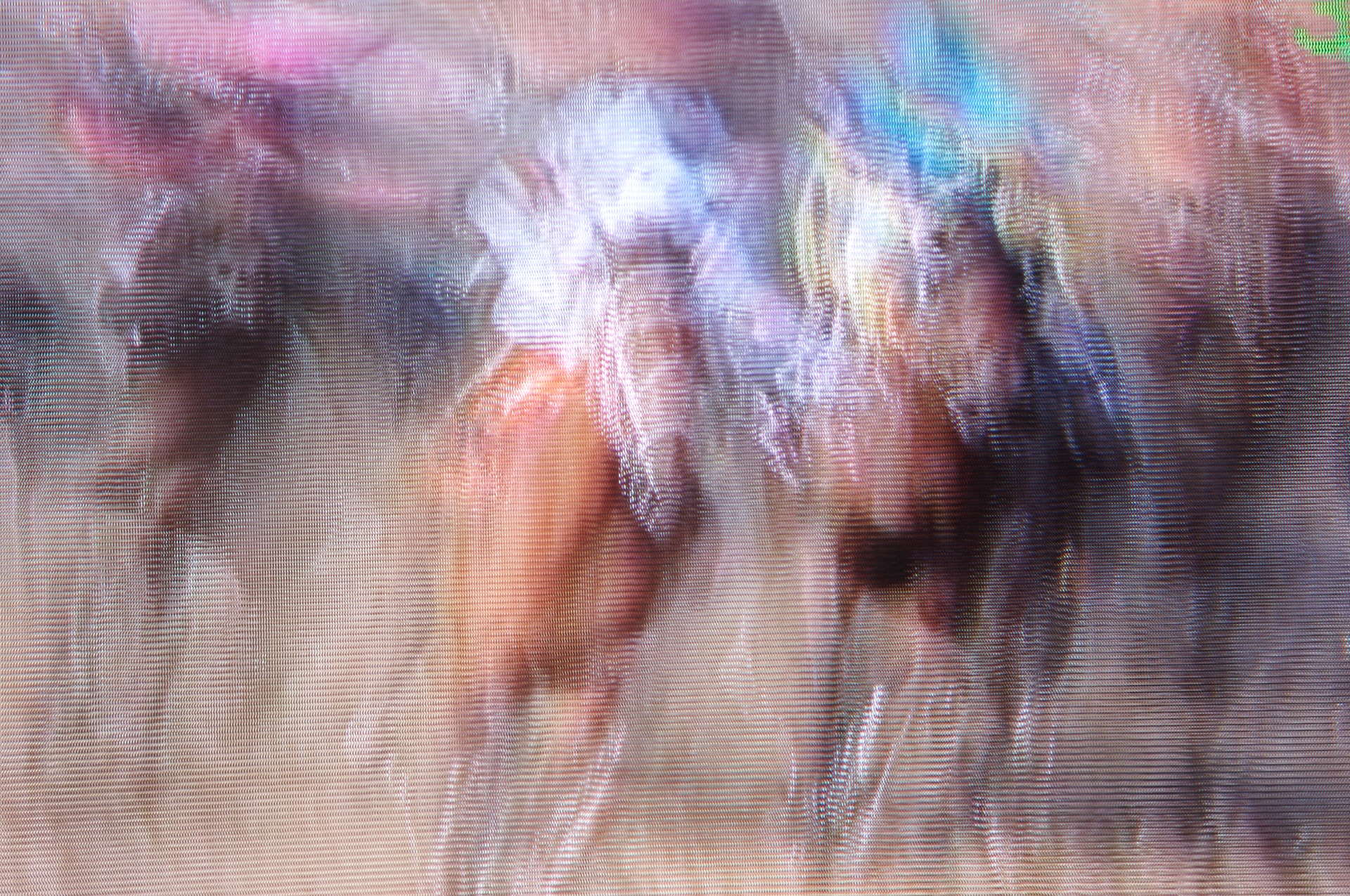 Poetry In Motion (2008 Preakness Stakes captured from television)