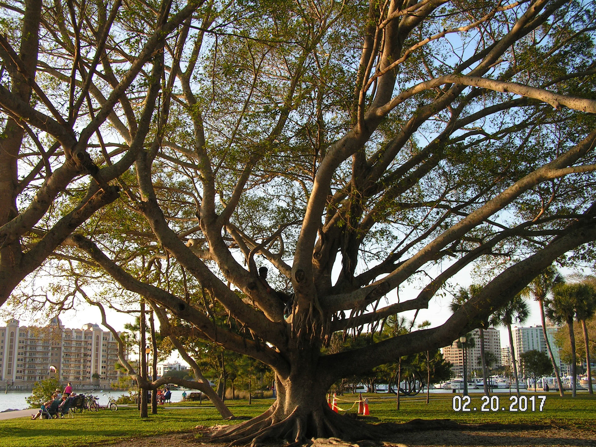 KONICA MINOLTA DIGITAL CAMERA