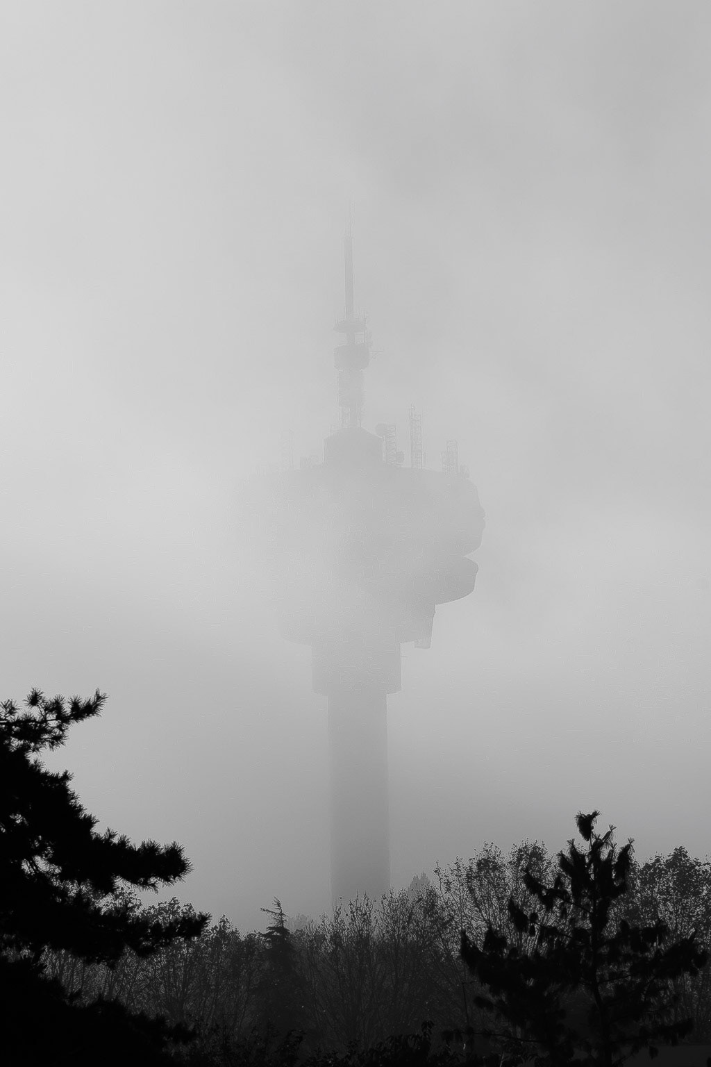 © Frédéric Jeugnet
