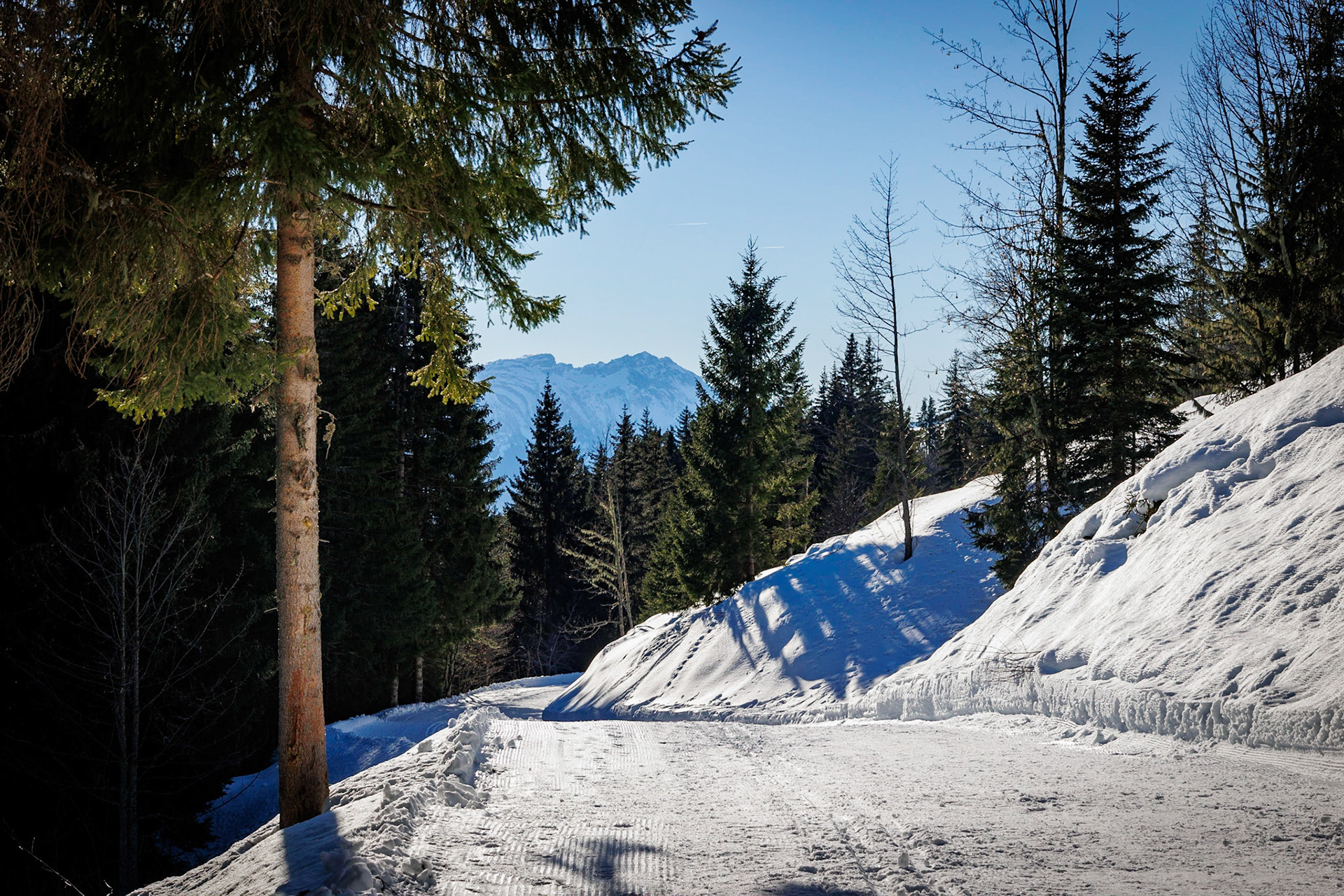 © Frédéric Jeugnet