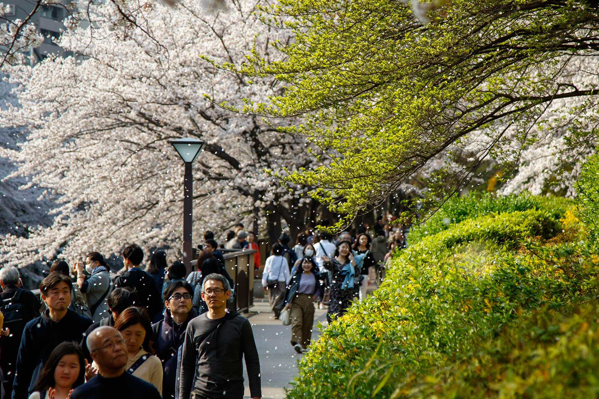 © Frédéric Jeugnet