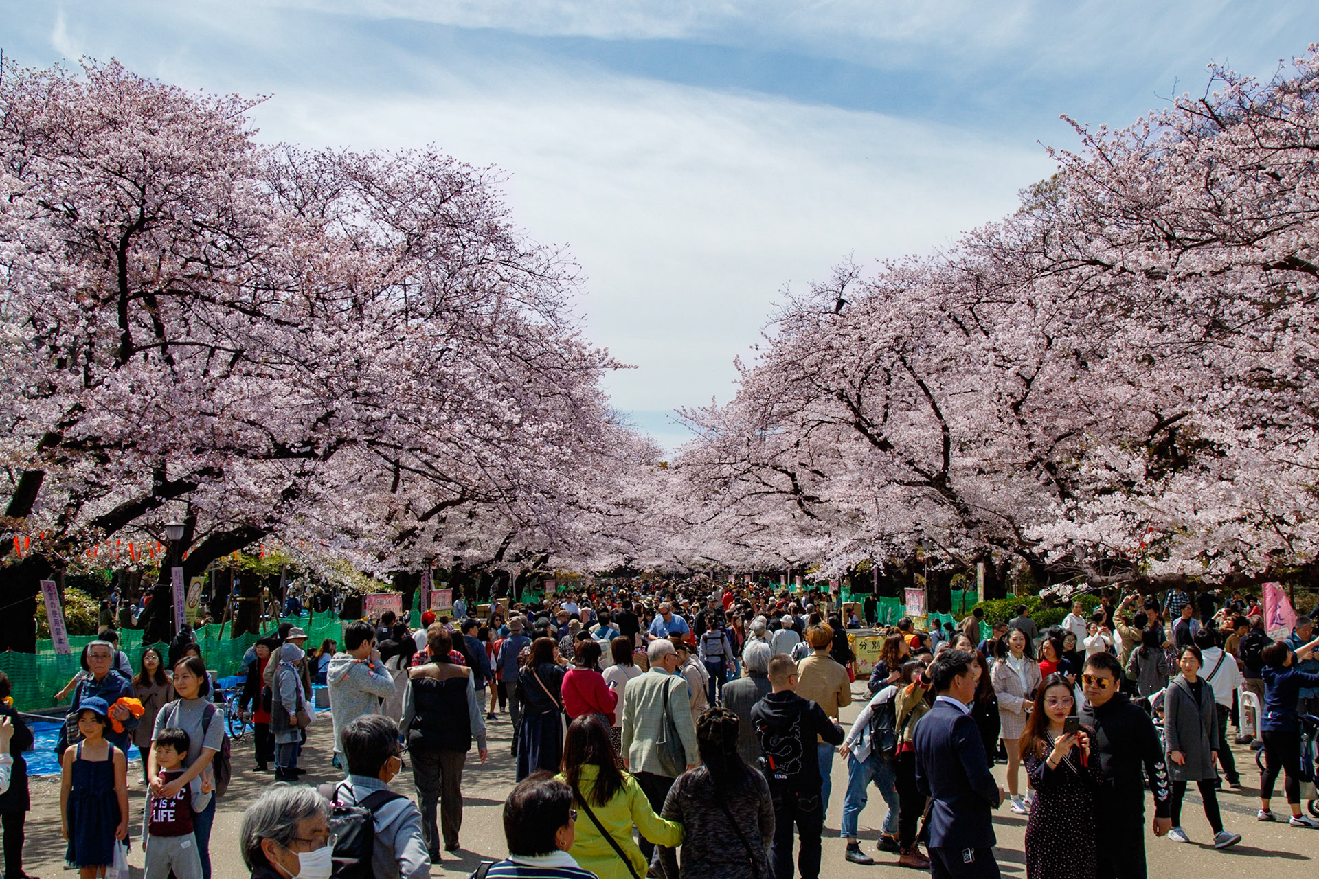 © Frédéric Jeugnet