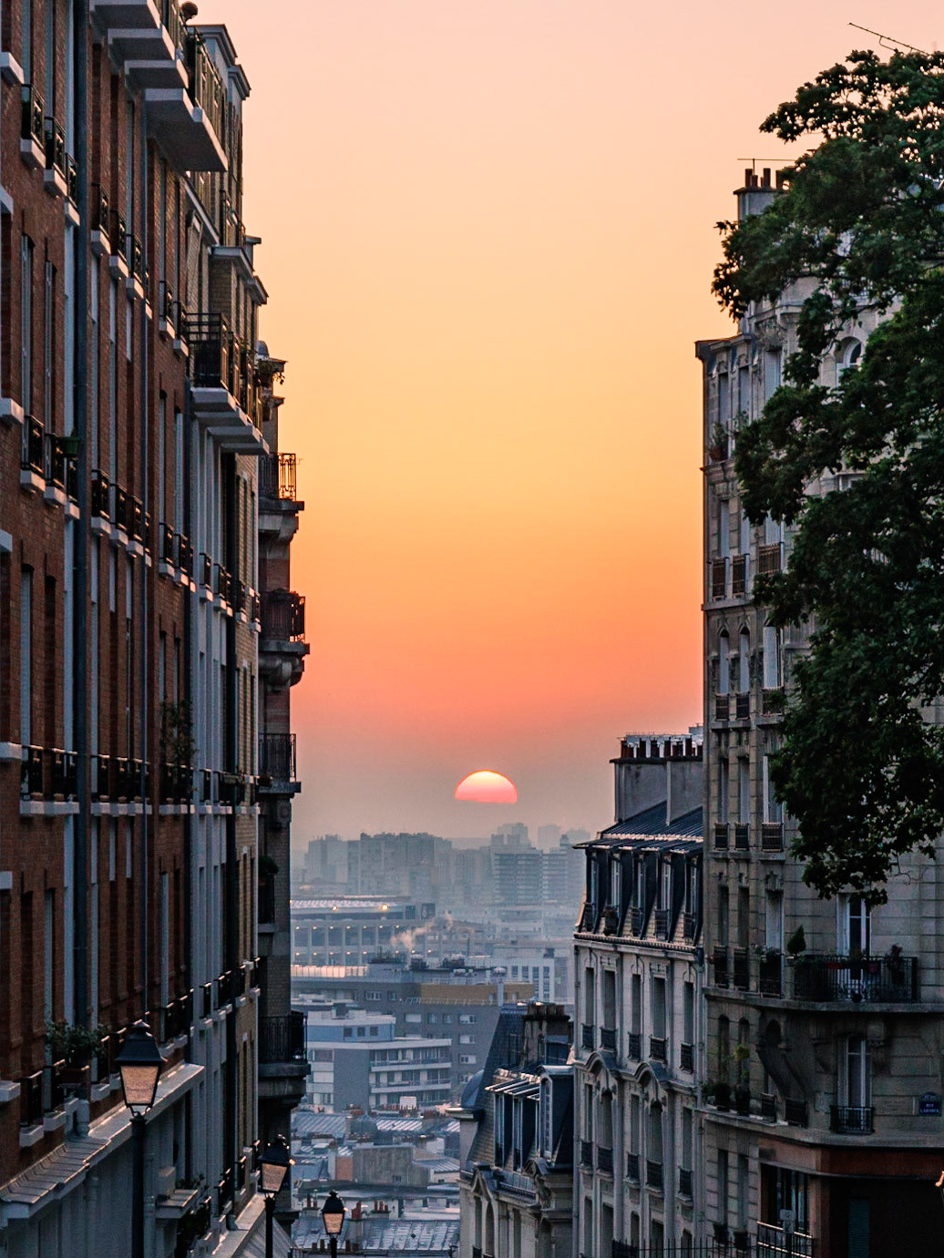 © Frédéric Jeugnet