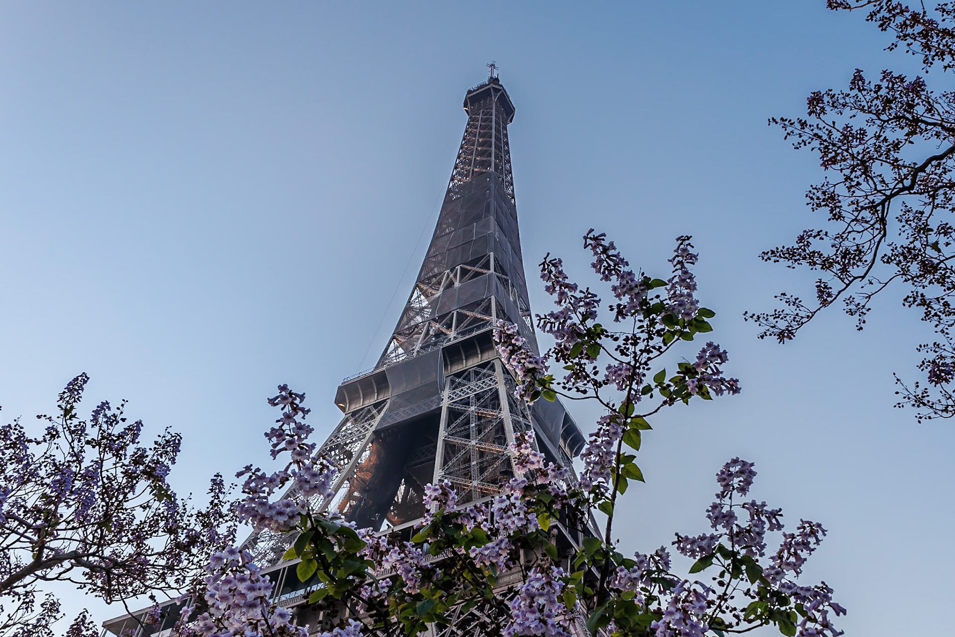© Frédéric Jeugnet