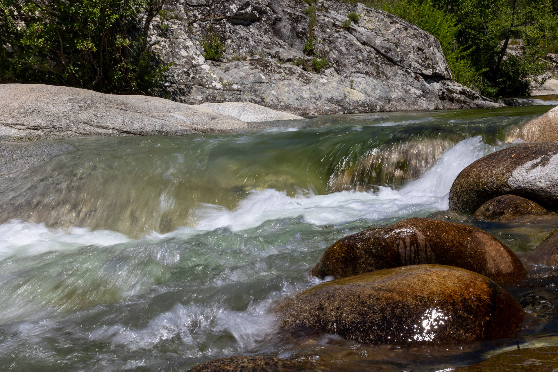 © Frédéric Jeugnet