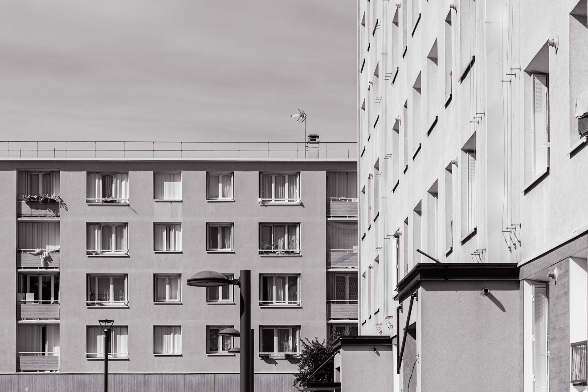 © Frédéric Jeugnet