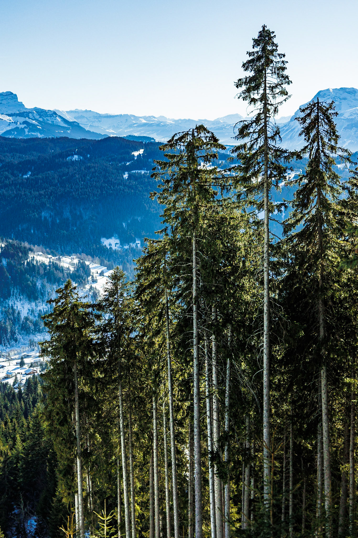 © Frédéric Jeugnet