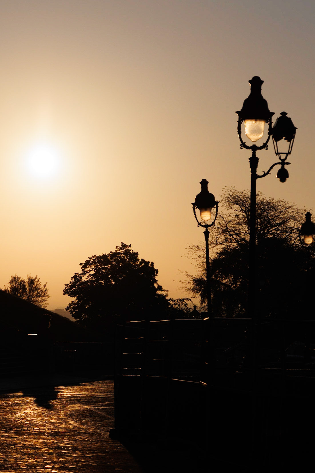 © Frédéric Jeugnet