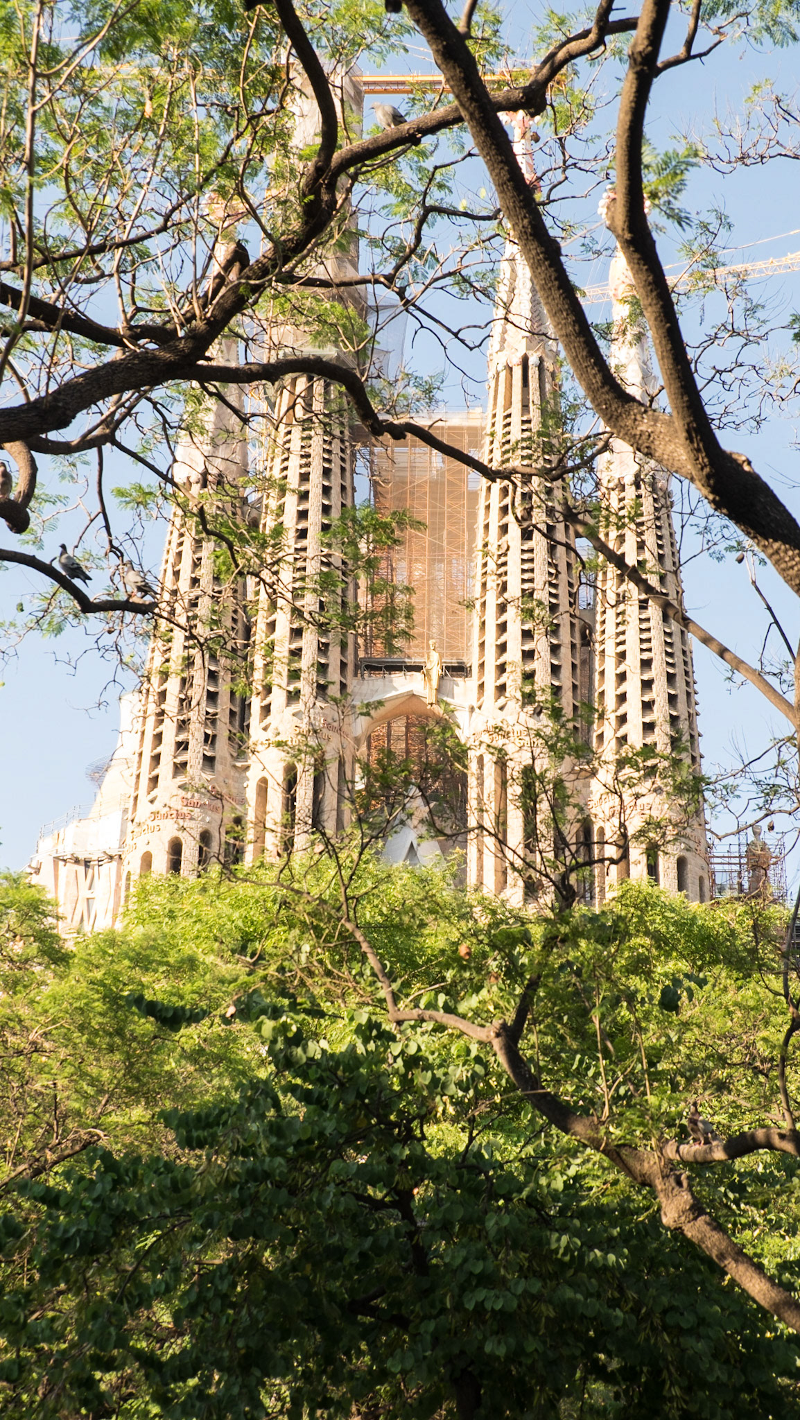 Sagrada Familia