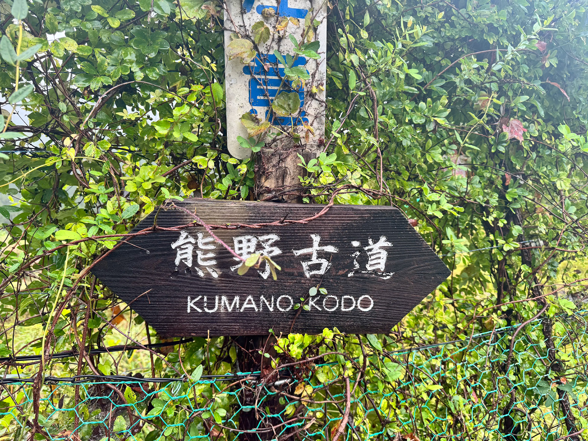 Kumano Kodo 2025