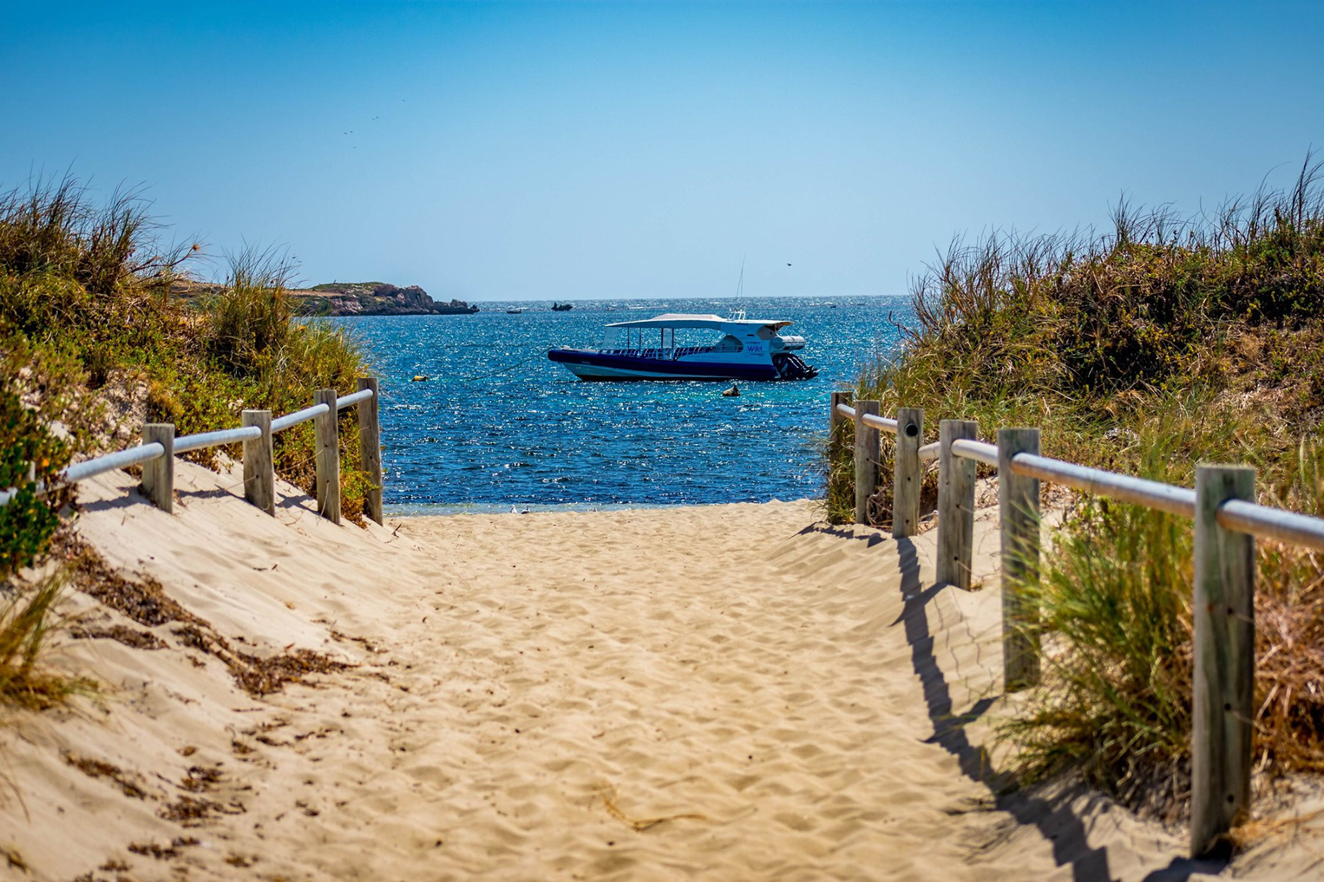 Path to the beach. (Indian Ocean)