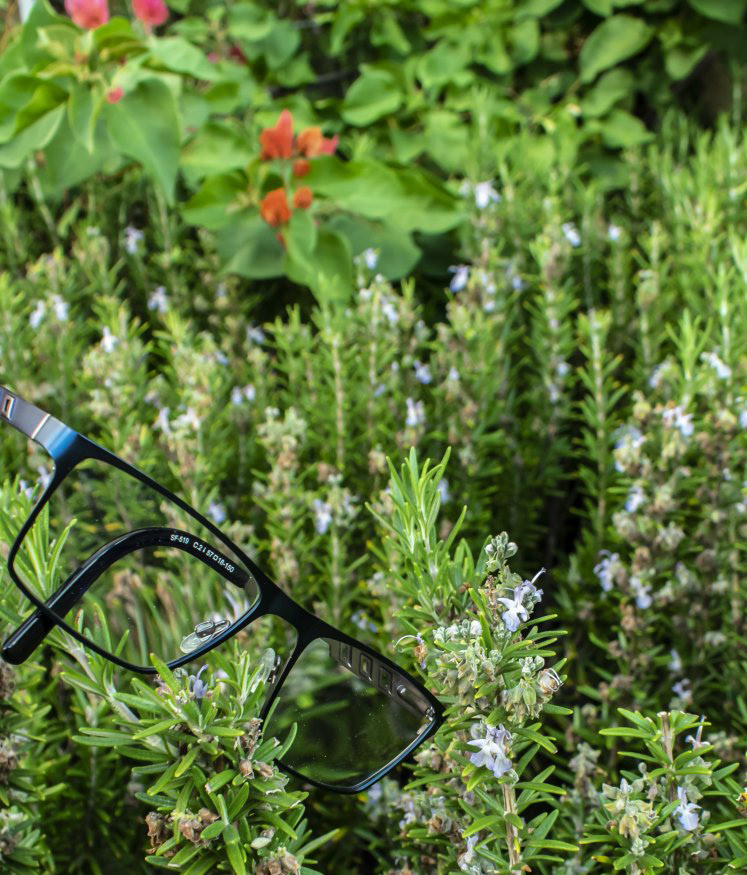 Glasses for perspective on the size of the flowers.
