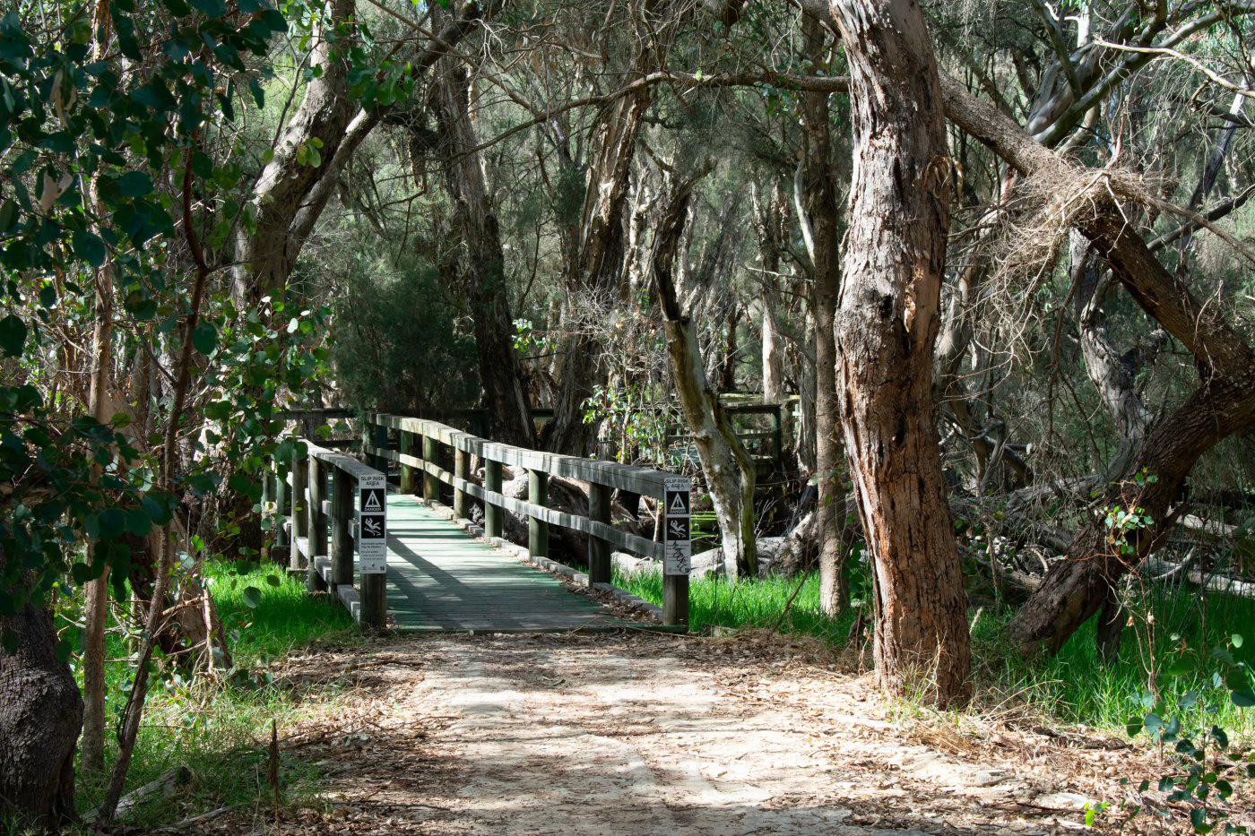 Boardwalk to bird hide. Spectacles Lakes