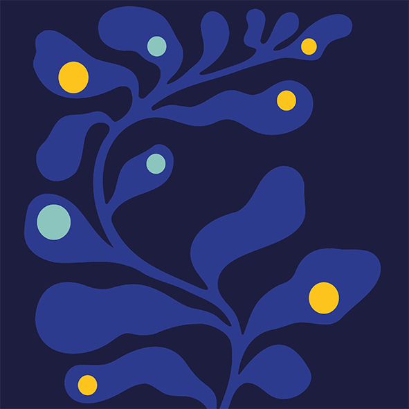 Abstrakte, moderne Illustration im Stil der Mid-Century-Organic-Forms