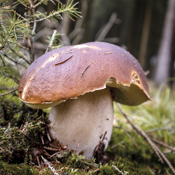 Foto von Evgeni Tscherkasski auf Unsplash