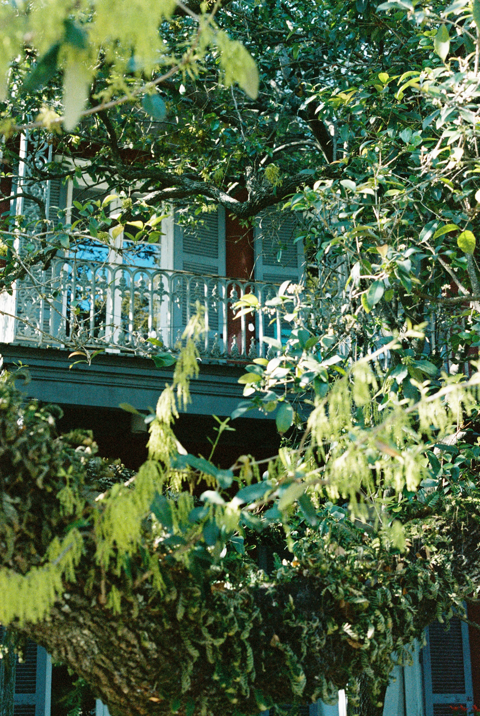 New Orleans
