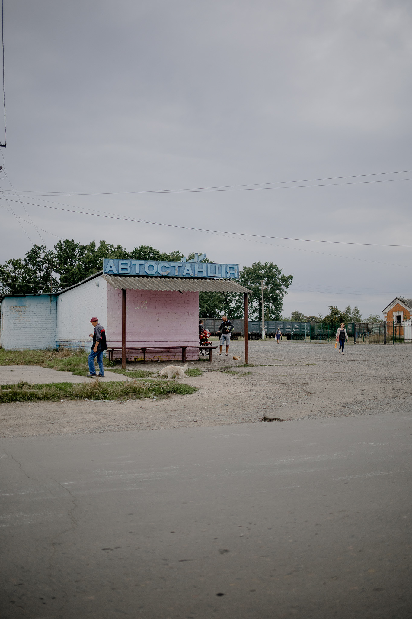 © Maria Svidryk
