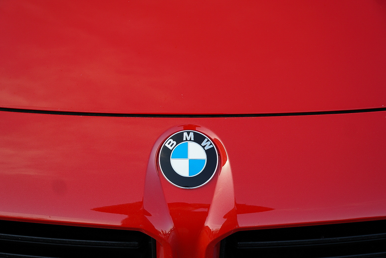BMW M2 badge detail
