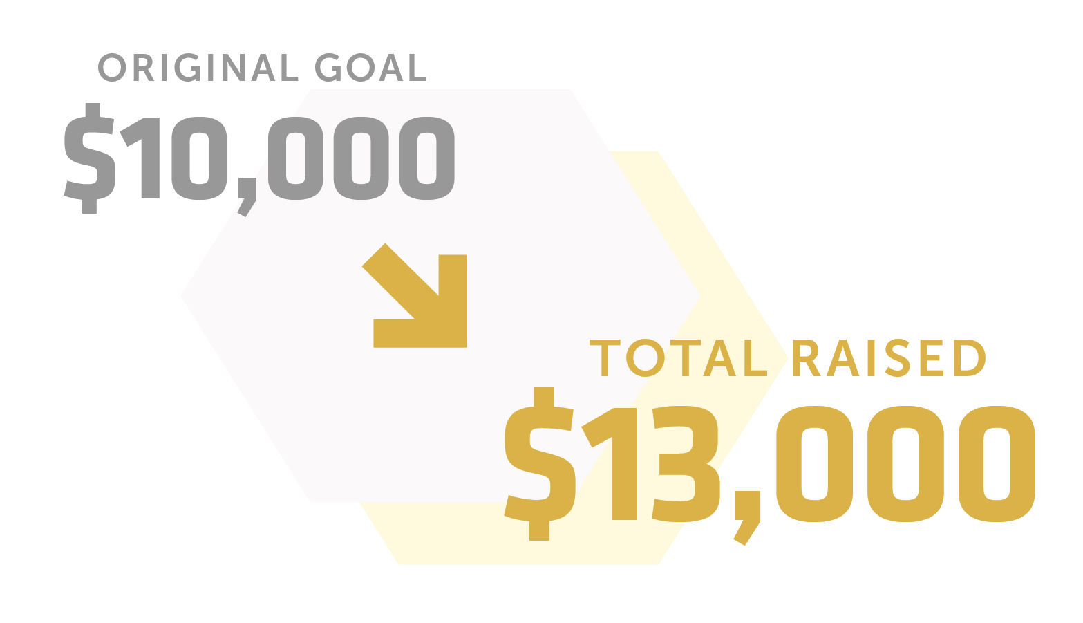 Graphic for The Bionic Kid "pay it forward campaign" (2/2).