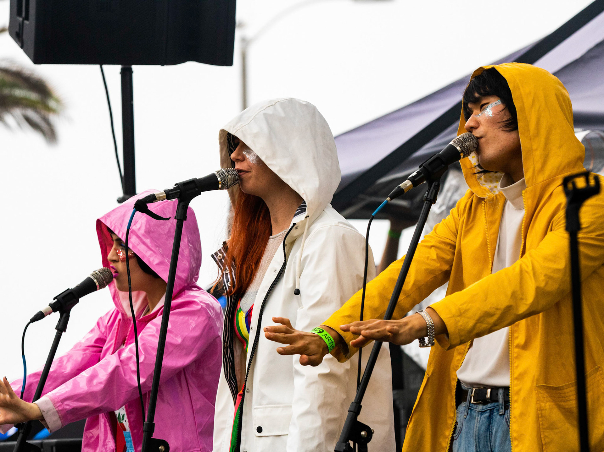 Superorganism