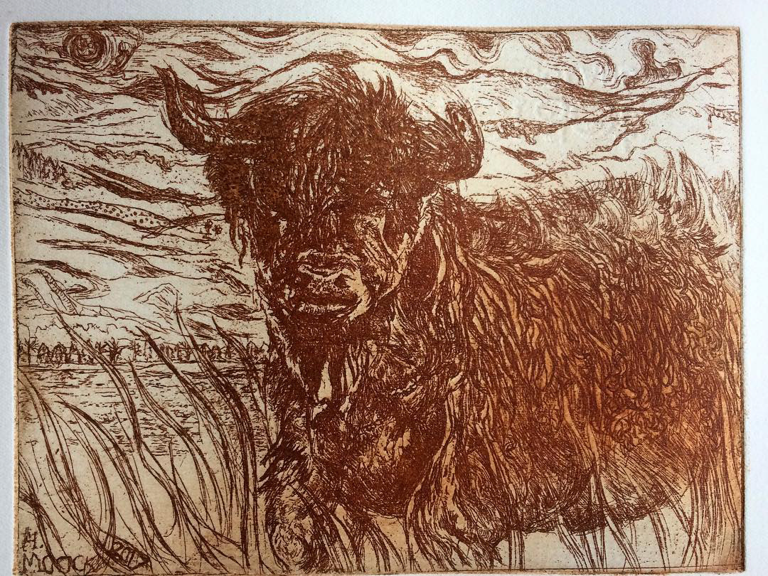 Highland Cow (Sanguine) 2018