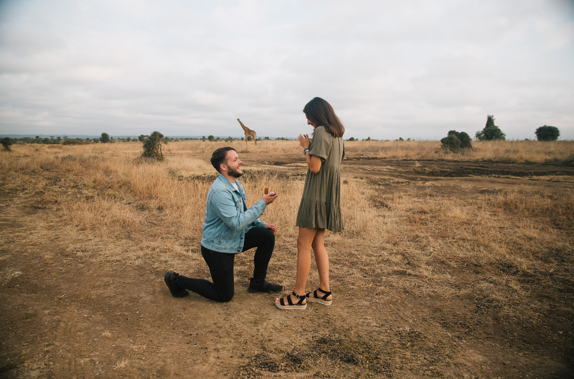 Proposal