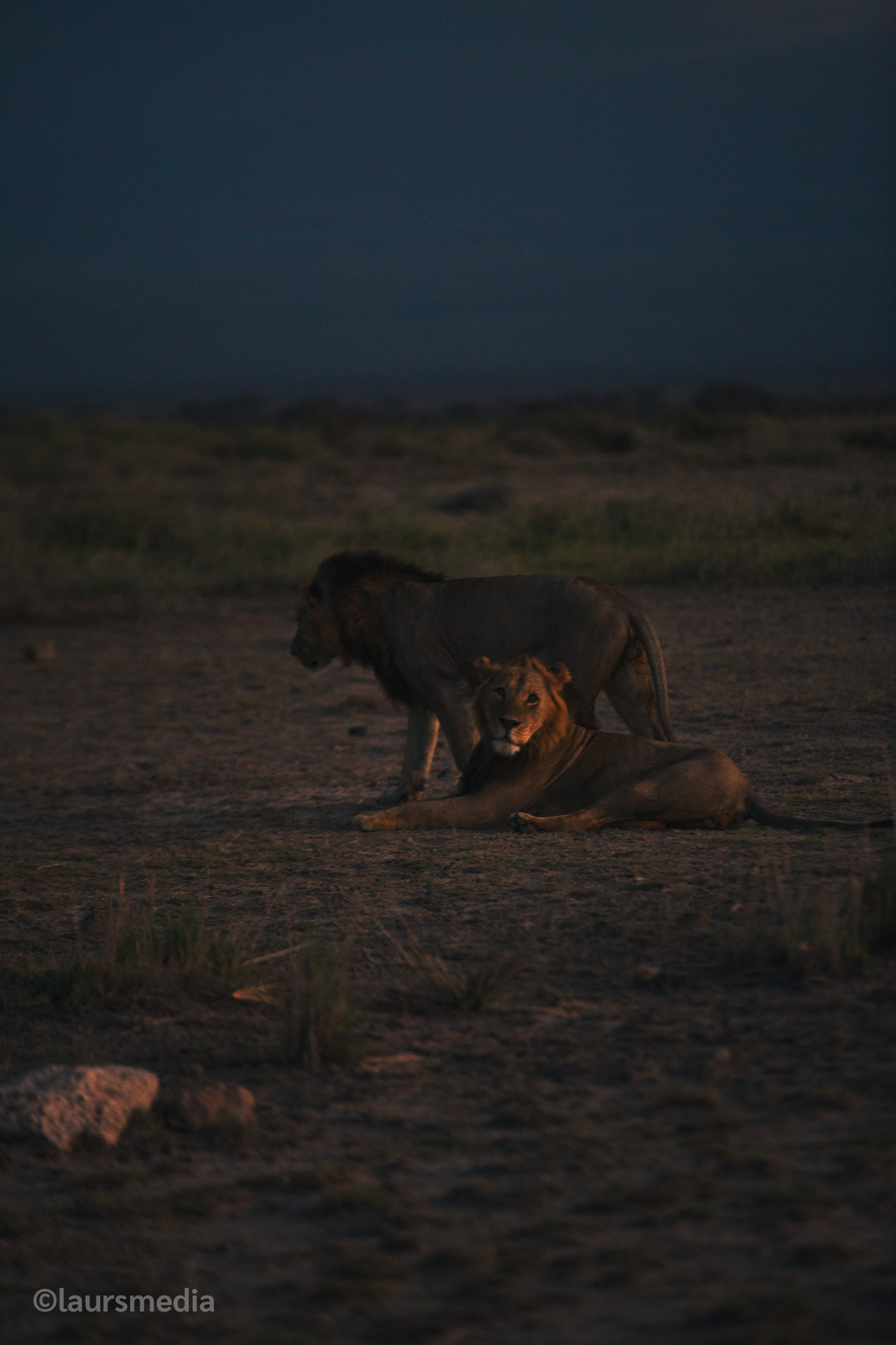 A sneak peak of what's inside the photo book!