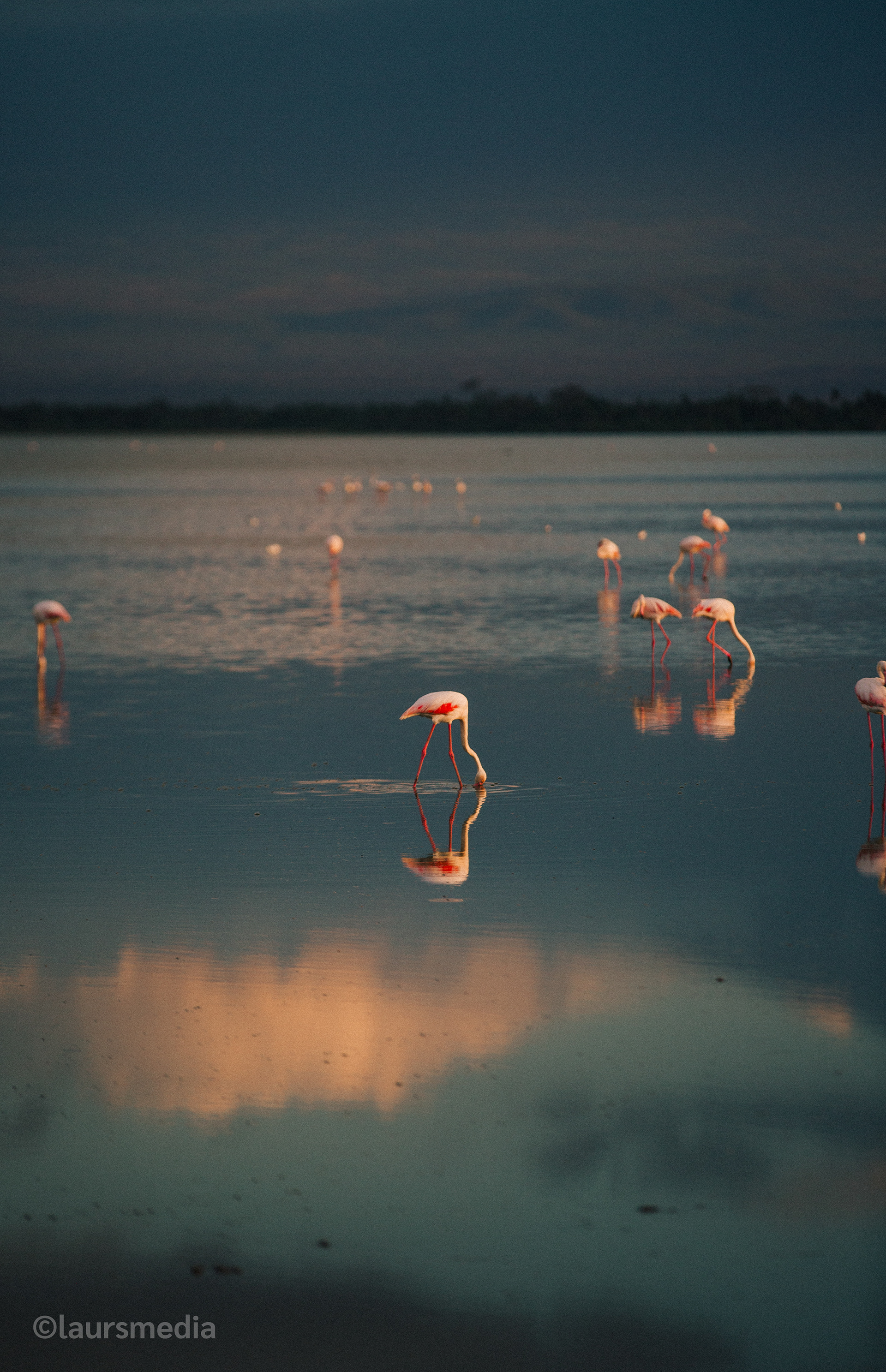 A sneak peak of what's inside the photo book!